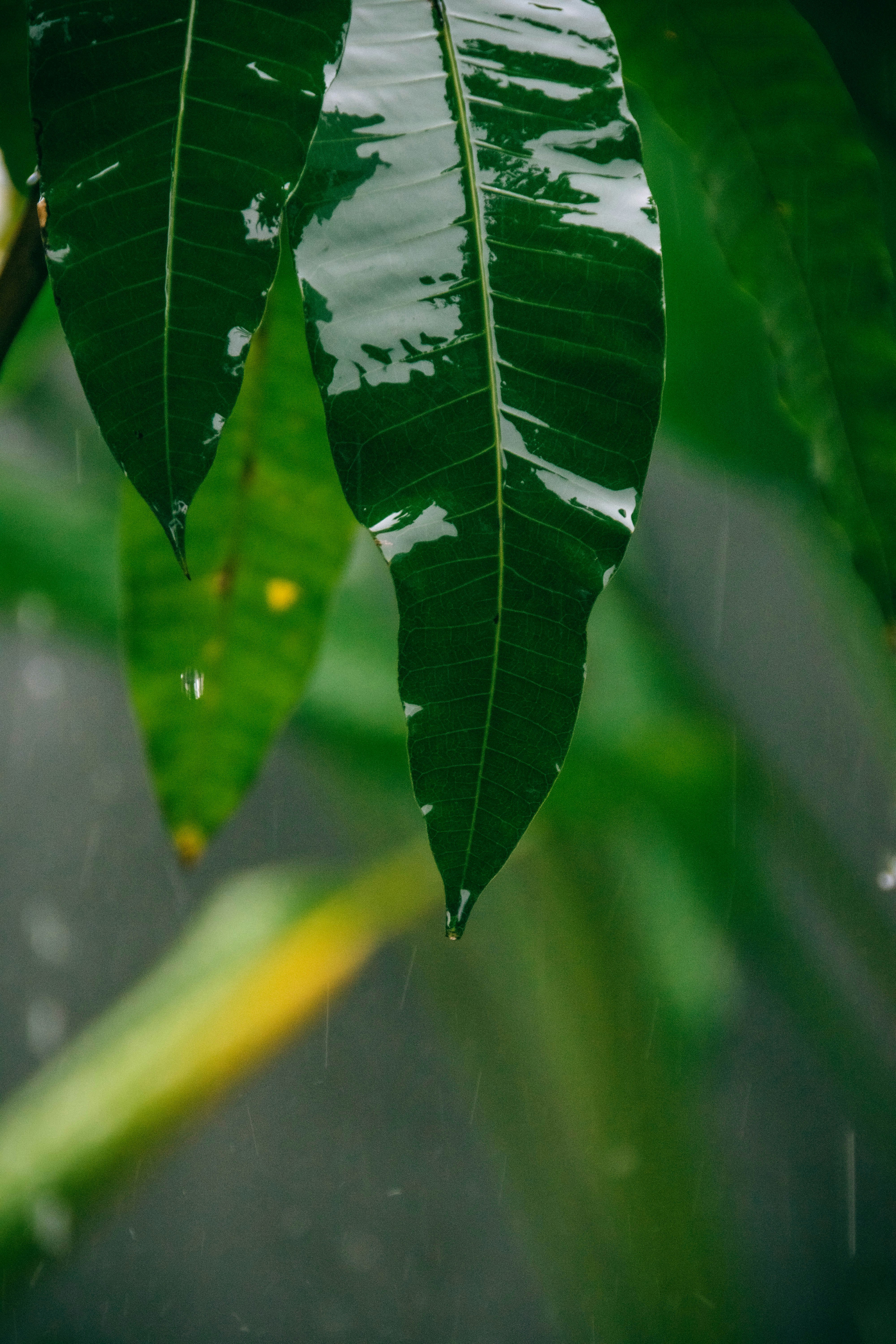 Photo by ivandwisamudra