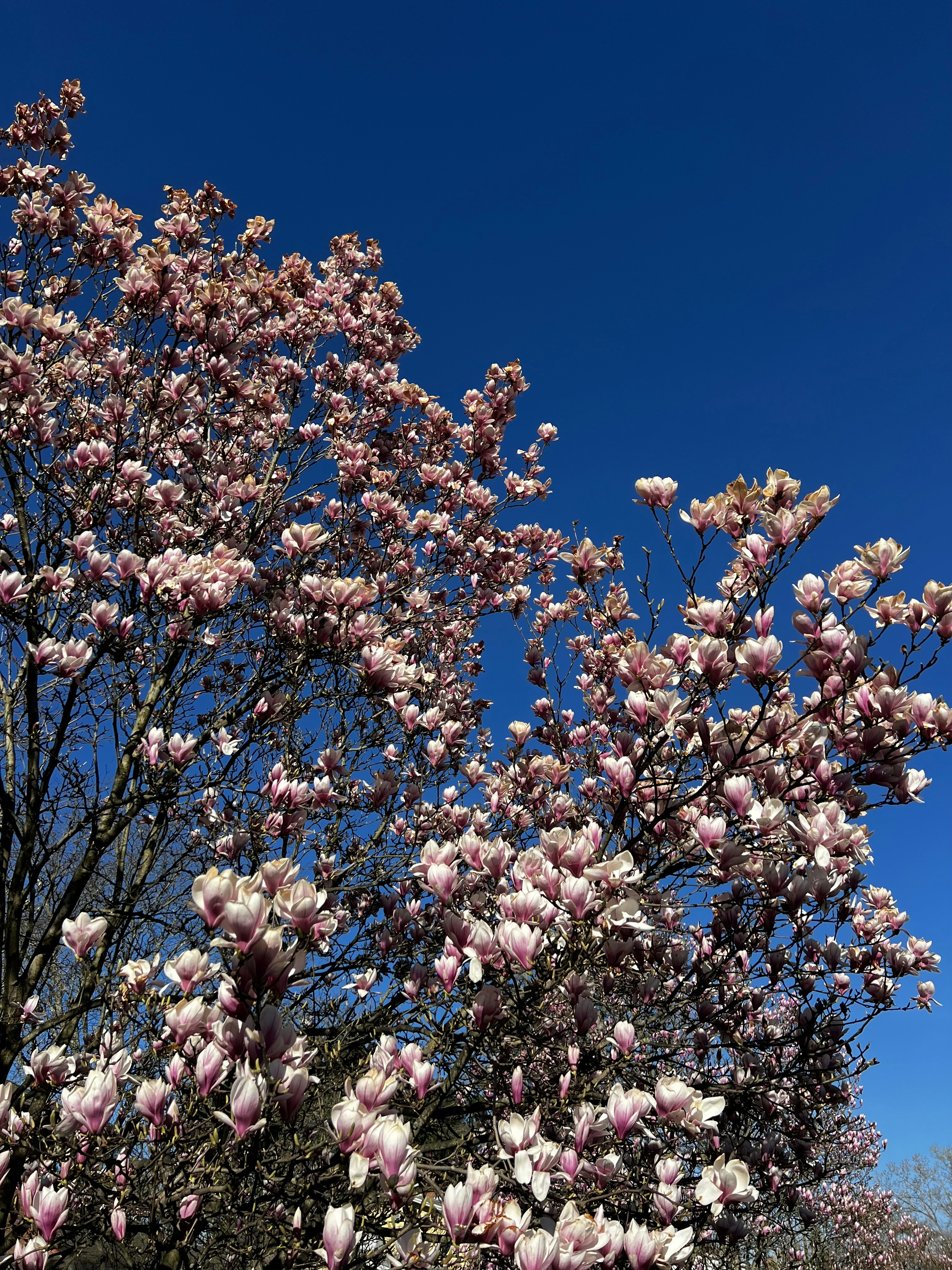 Photo by madelinedale