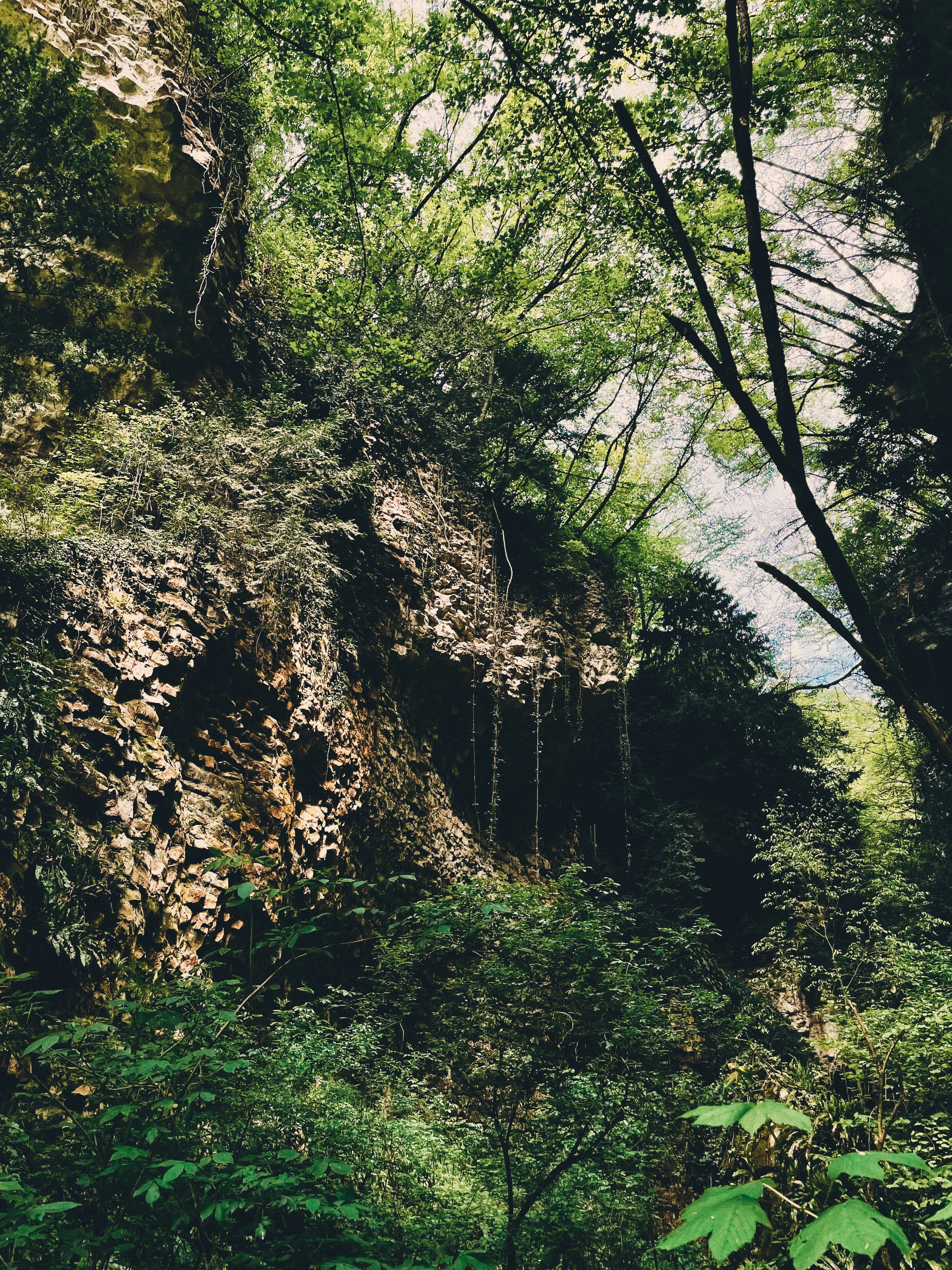 Photo by michaelmartinelli