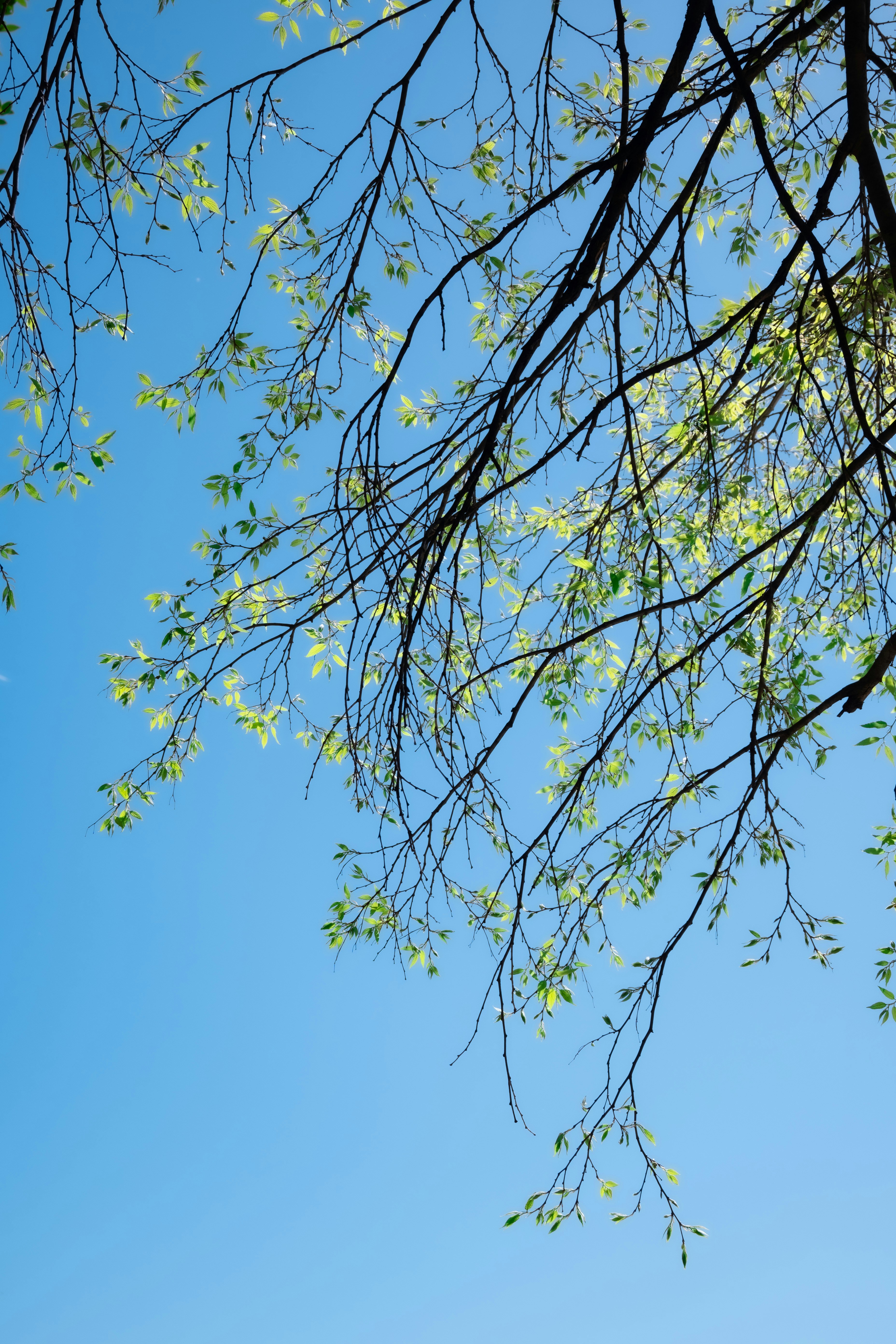 Photo by workingdeluna