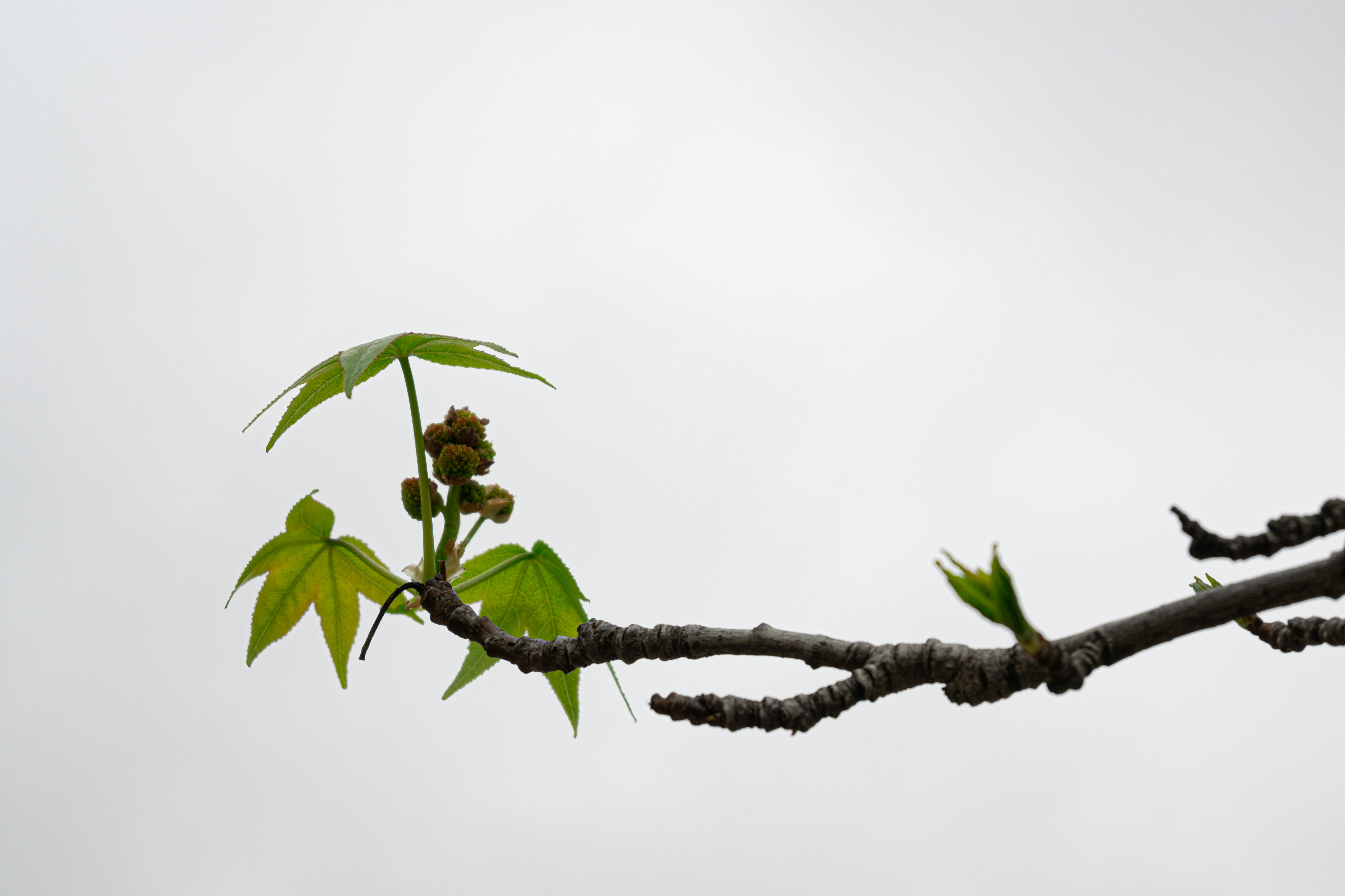 Photo by workingdeluna