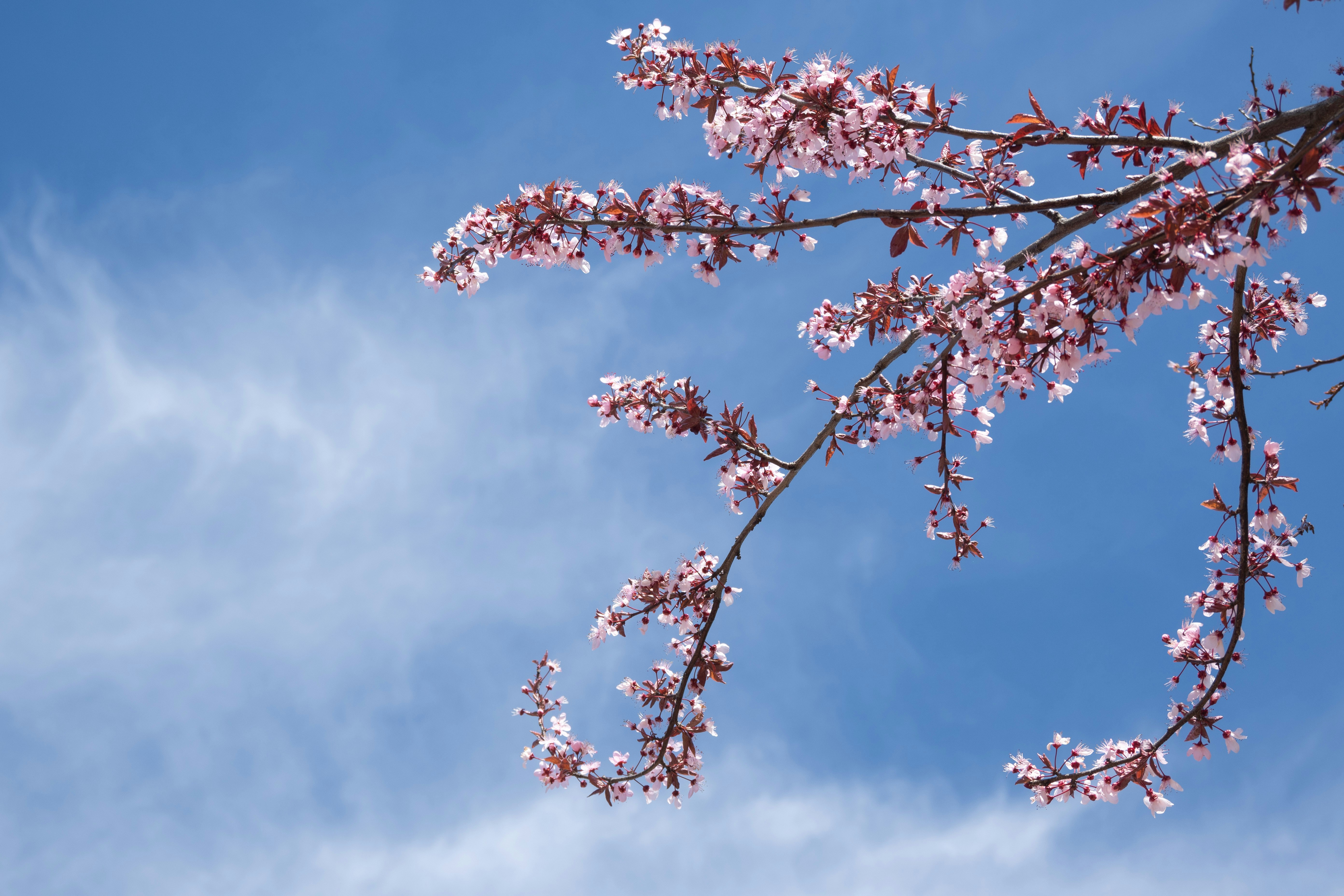 Photo by workingdeluna