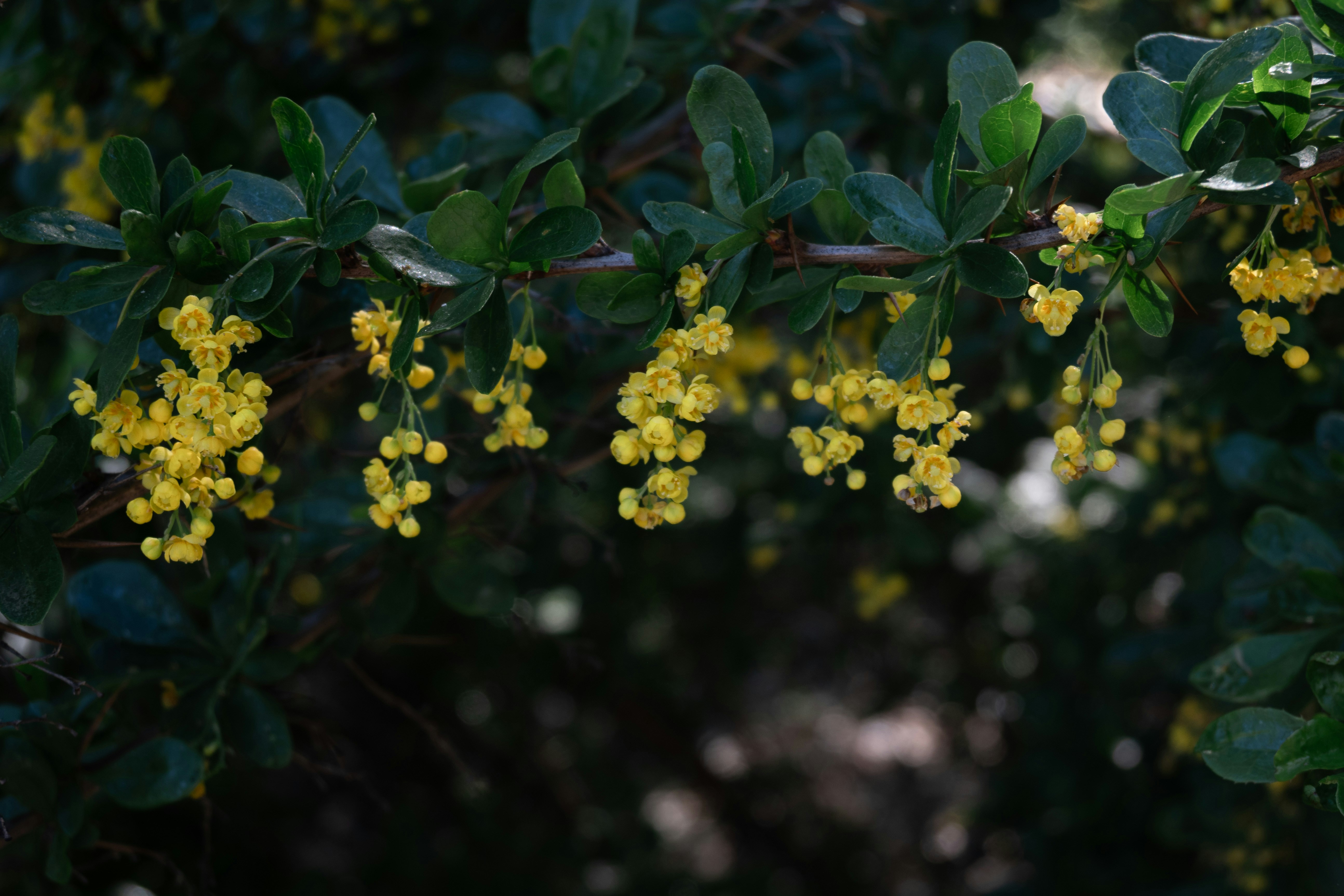 Photo by workingdeluna