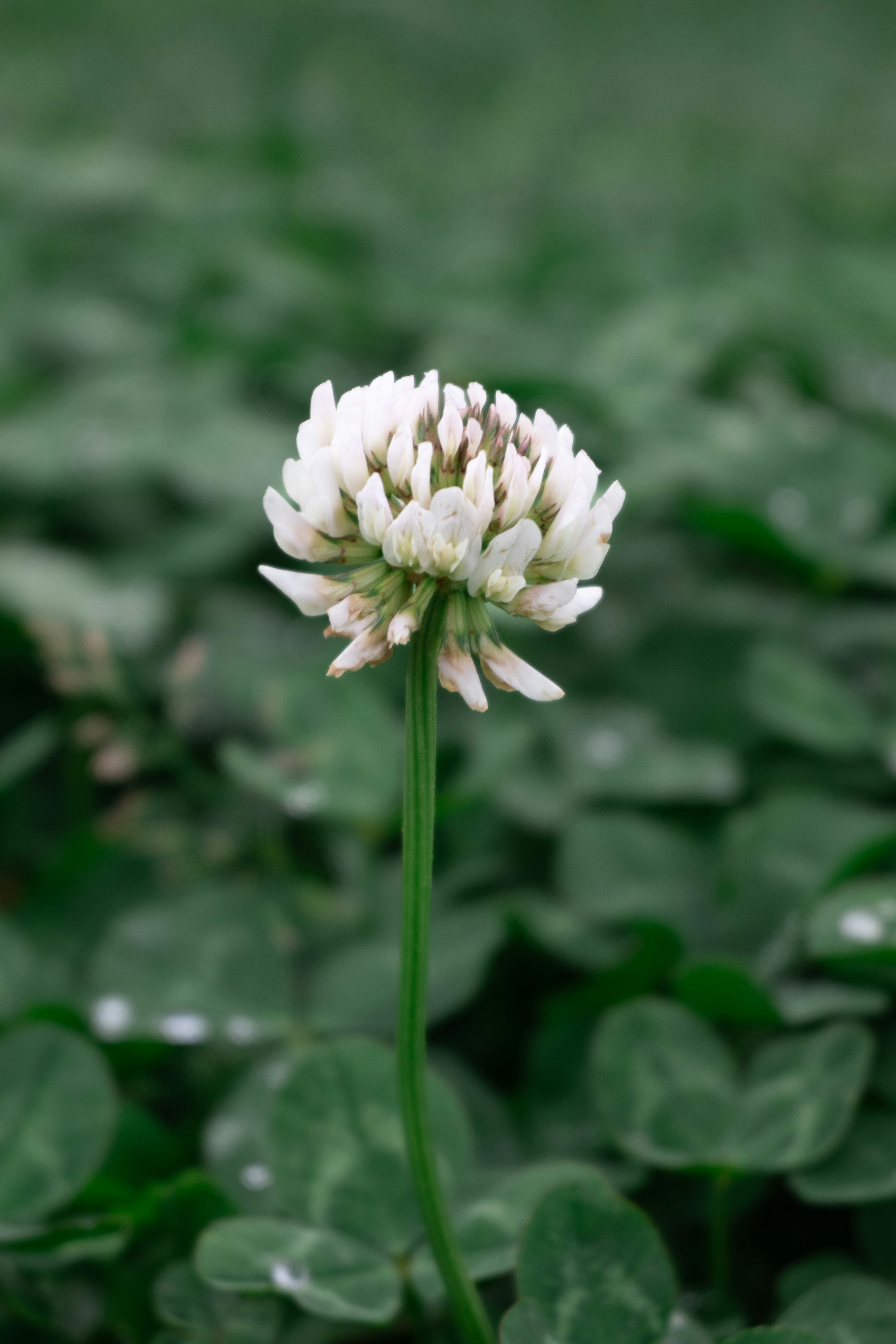 Photo by workingdeluna