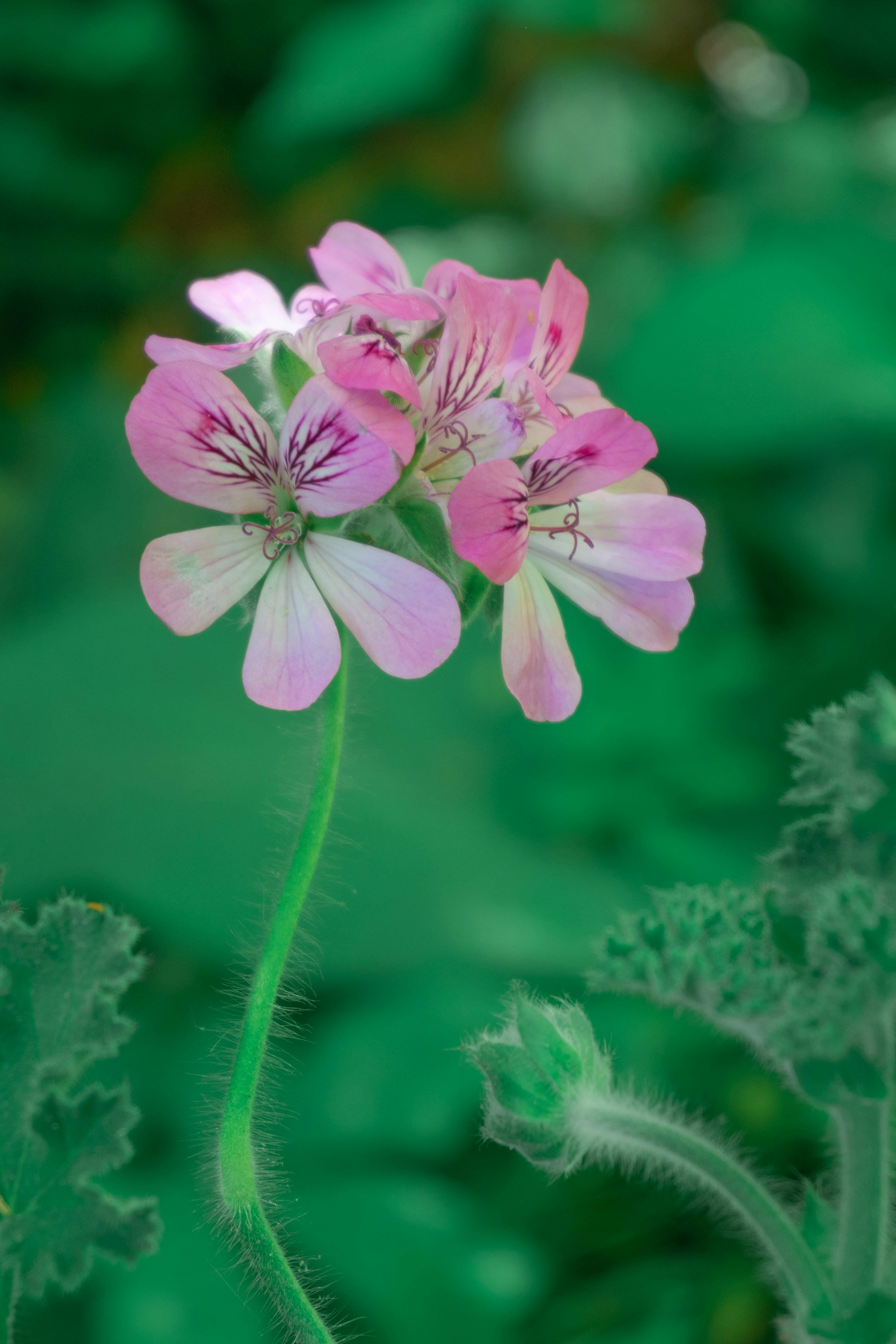 Photo by workingdeluna