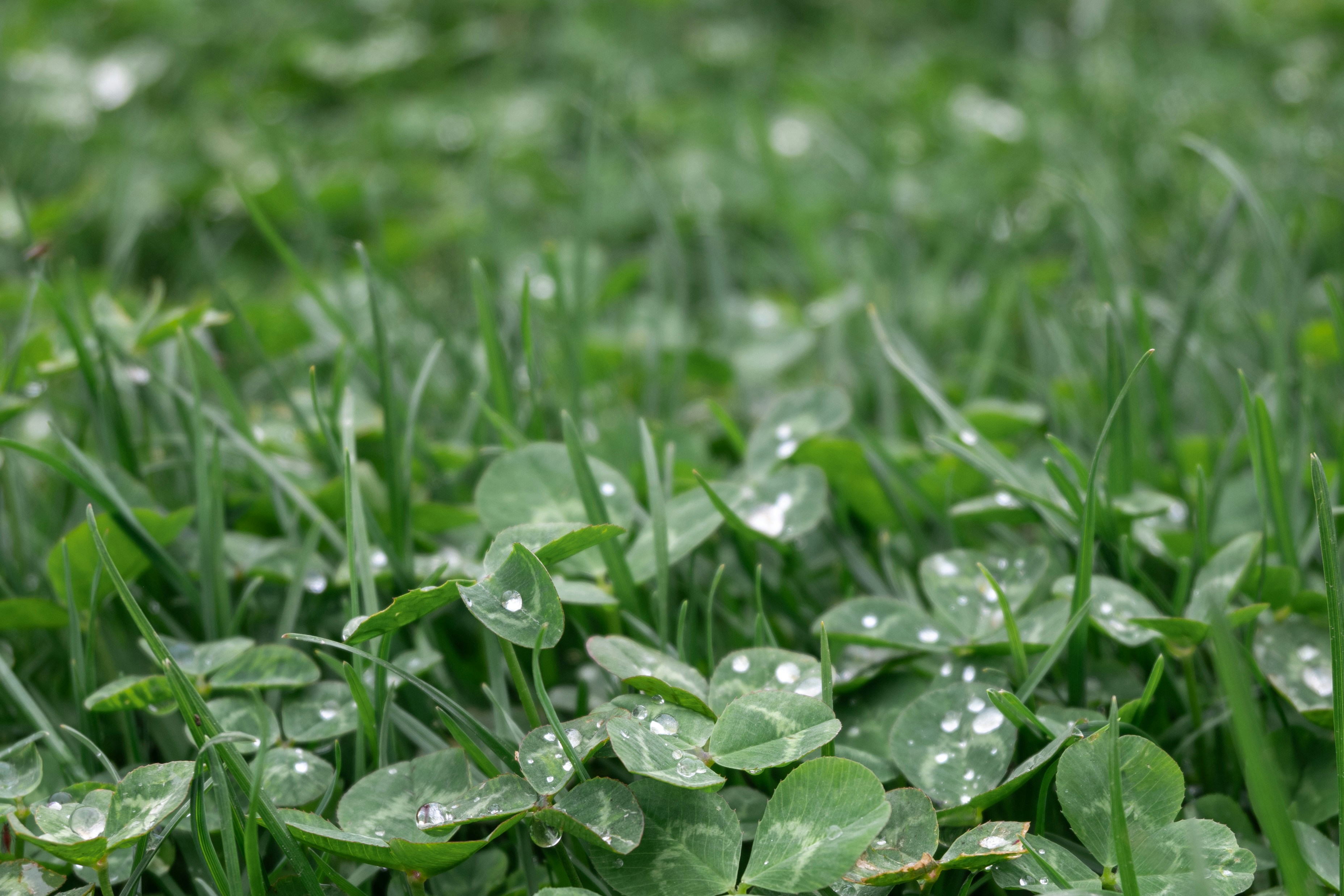 Photo by workingdeluna