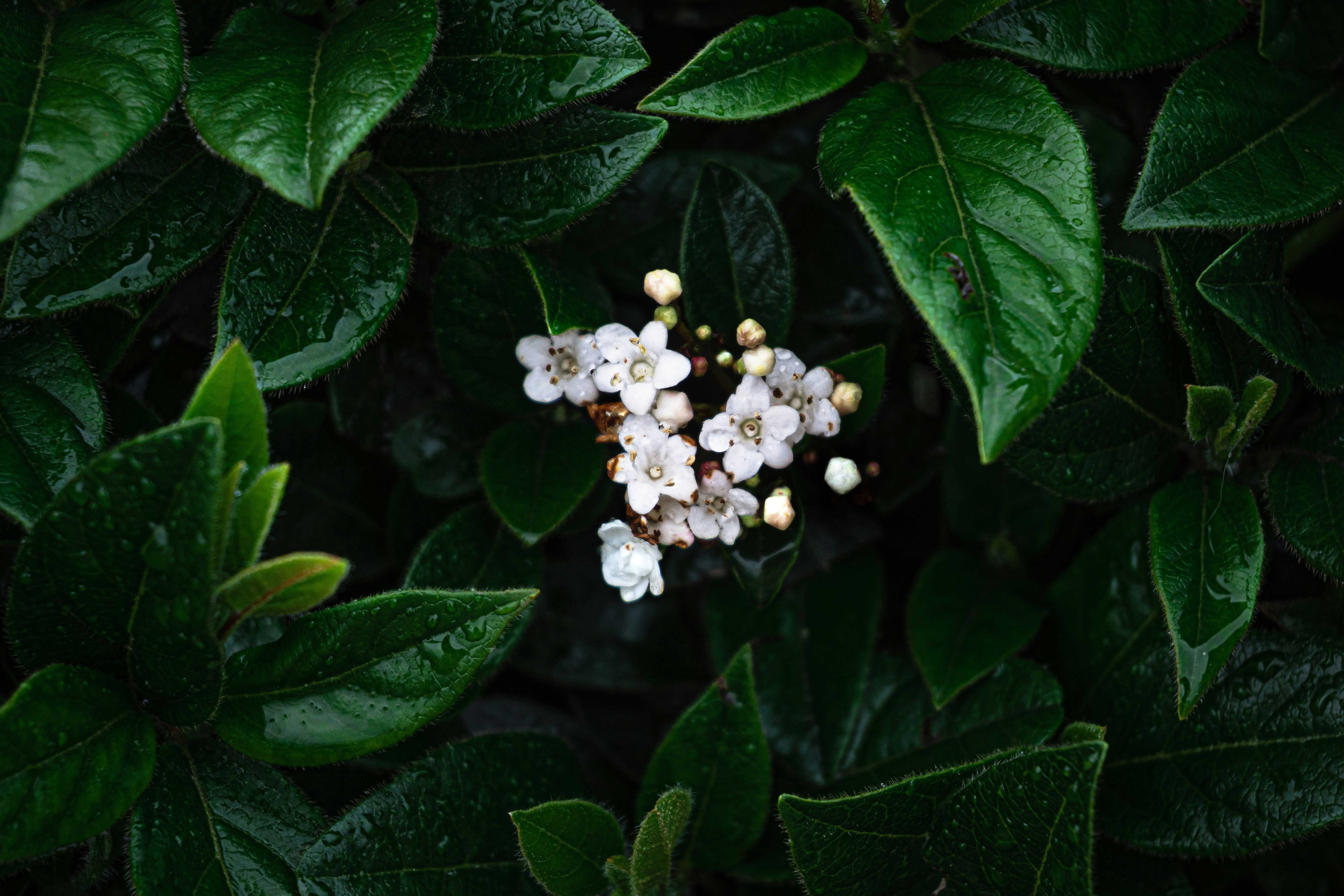 Photo by workingdeluna