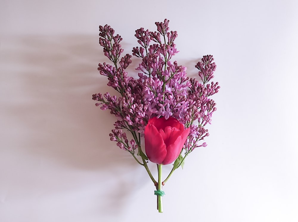 a bouquet of purple flowers sitting on top of a white wall