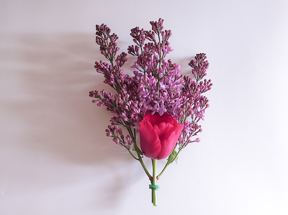 Ein Strauß lila Blumen sitzt auf einer weißen Wand