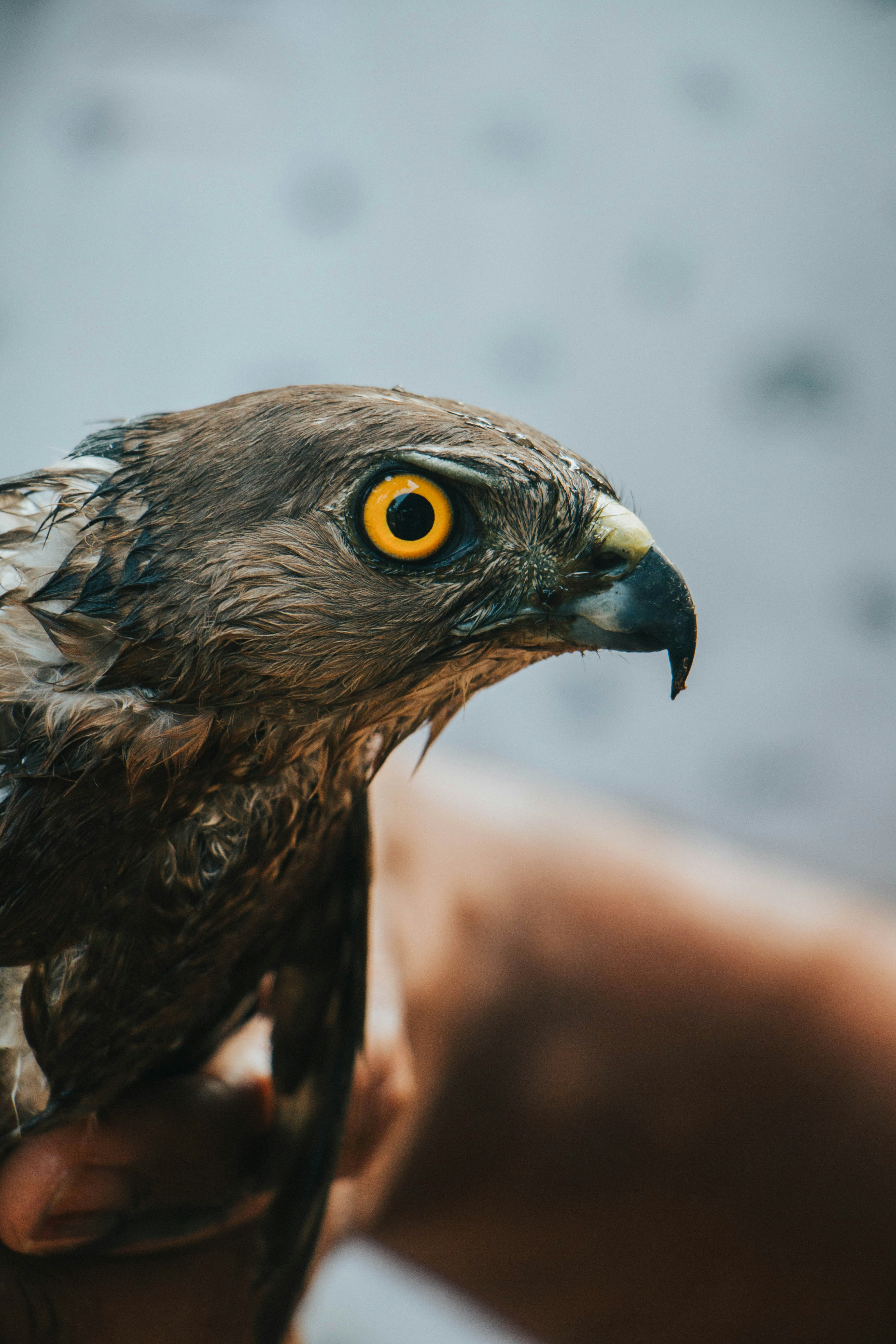 Photo by rishabh_mathew