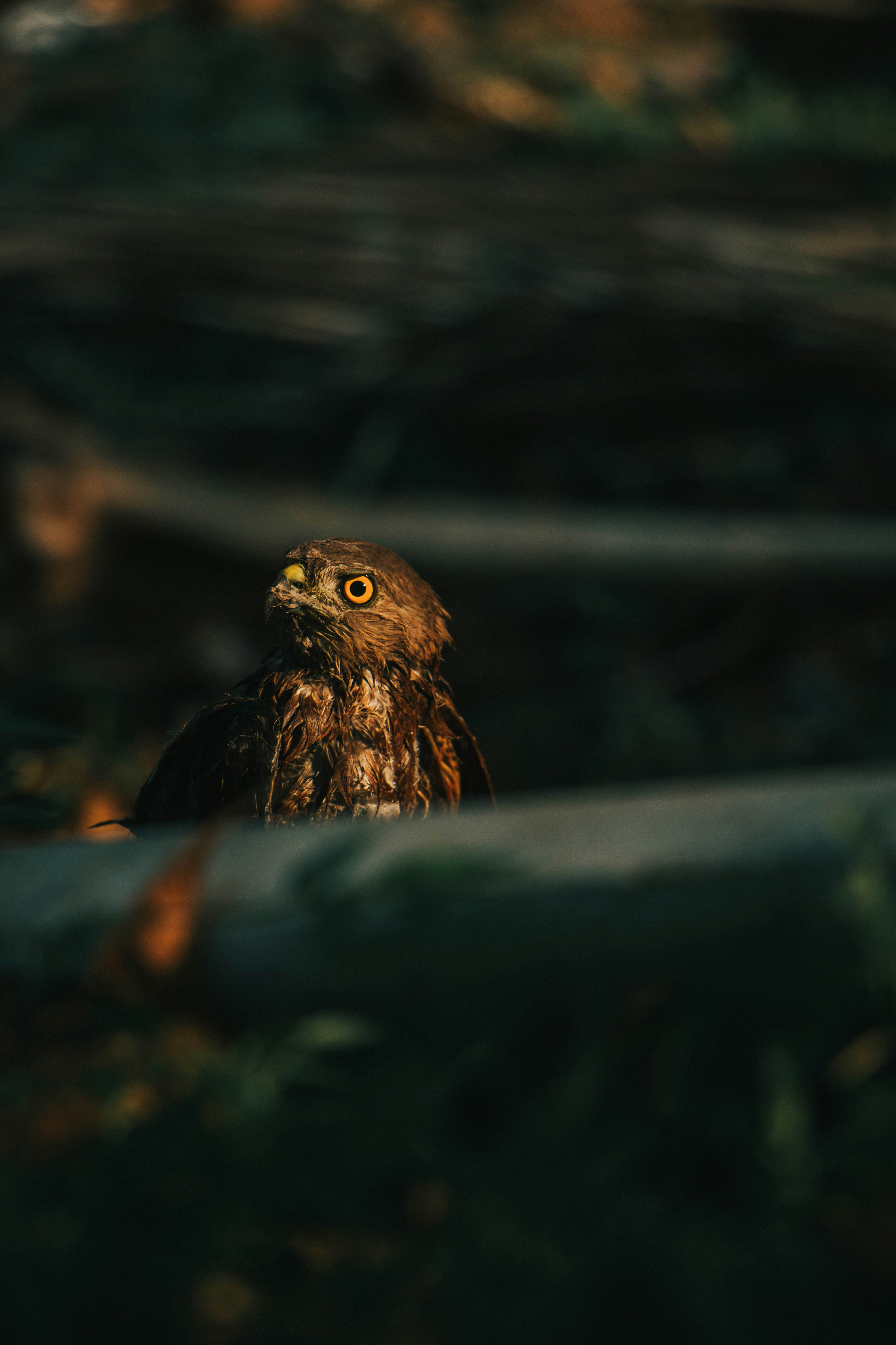 Photo by rishabh_mathew