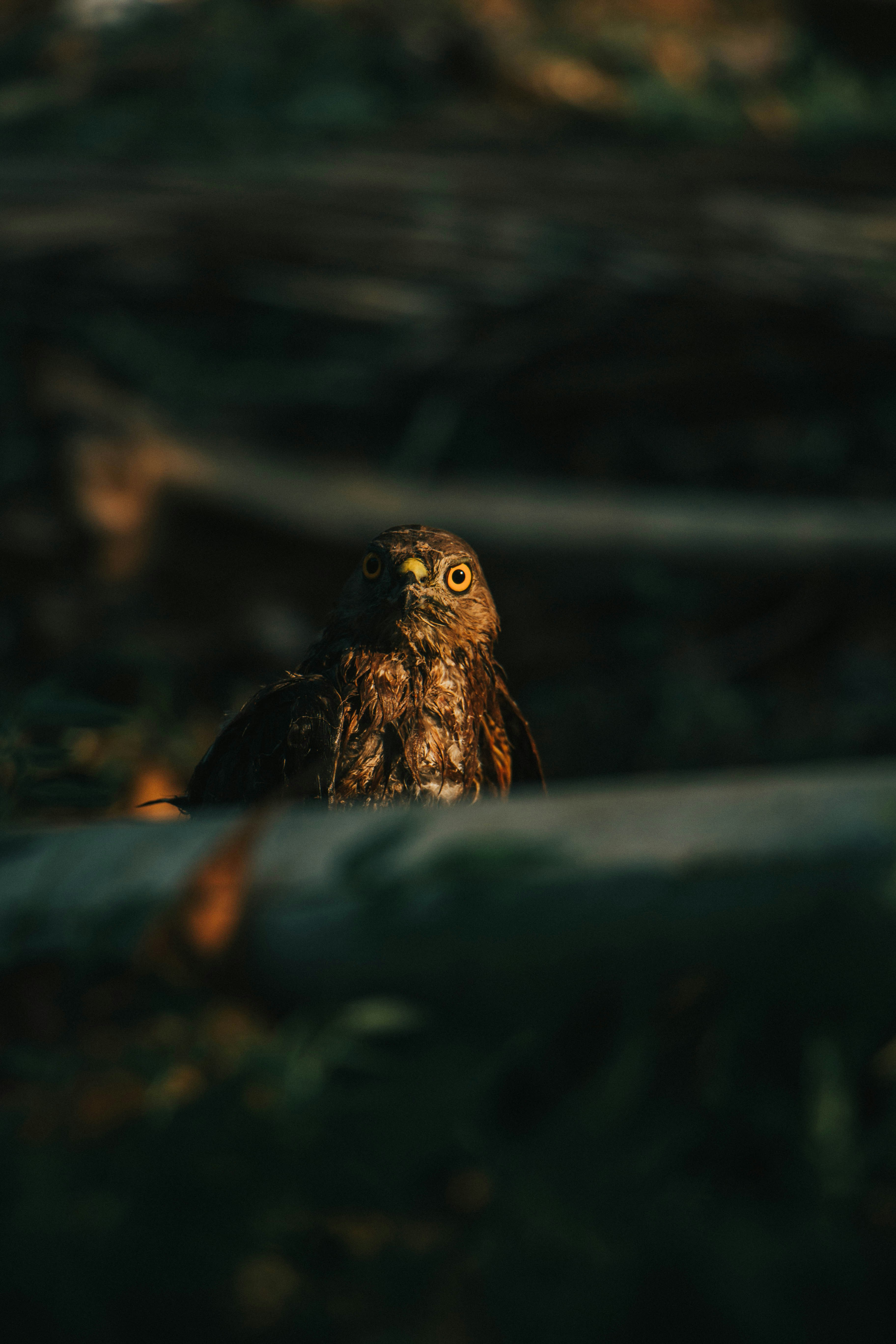 Photo by rishabh_mathew