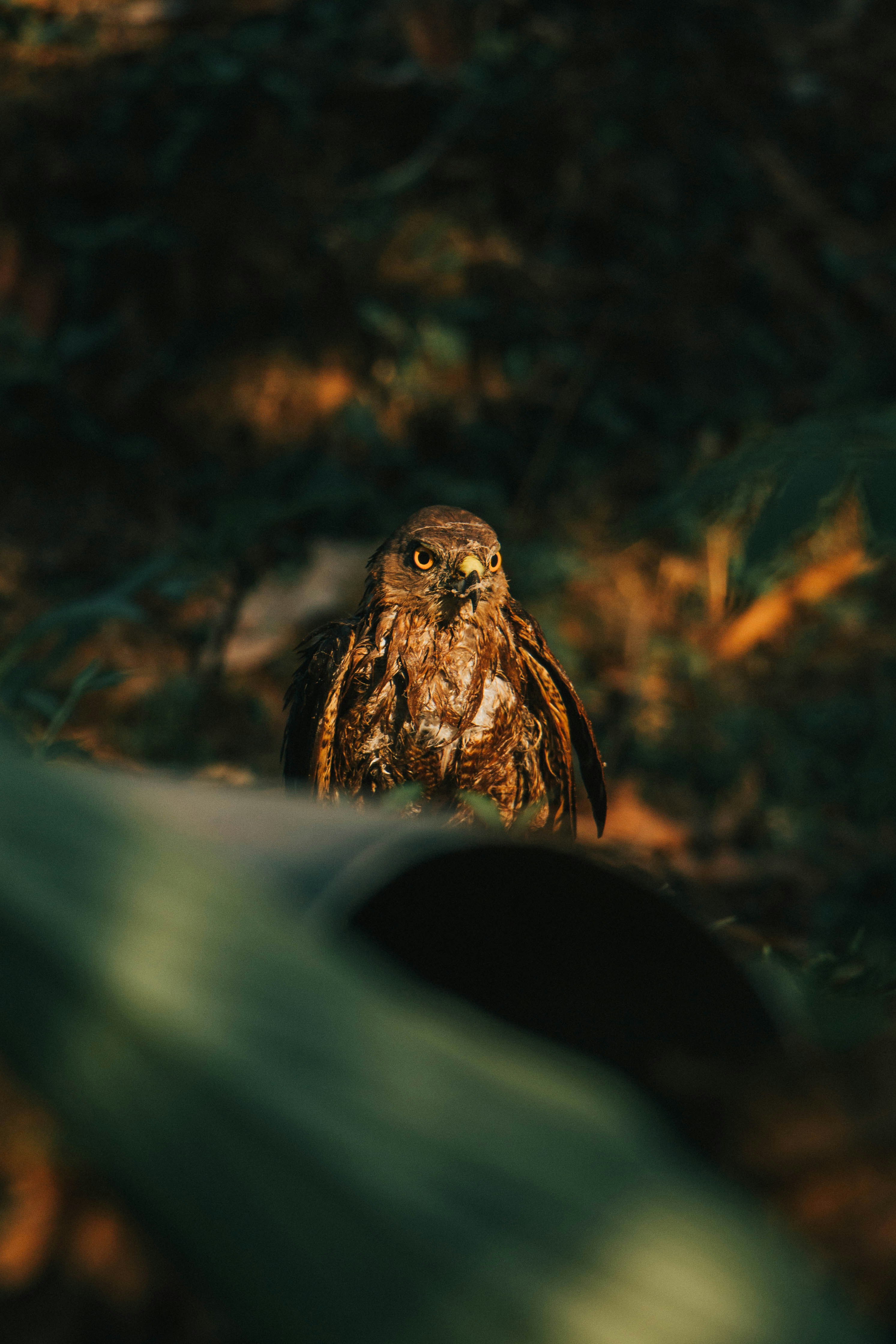 Photo by rishabh_mathew