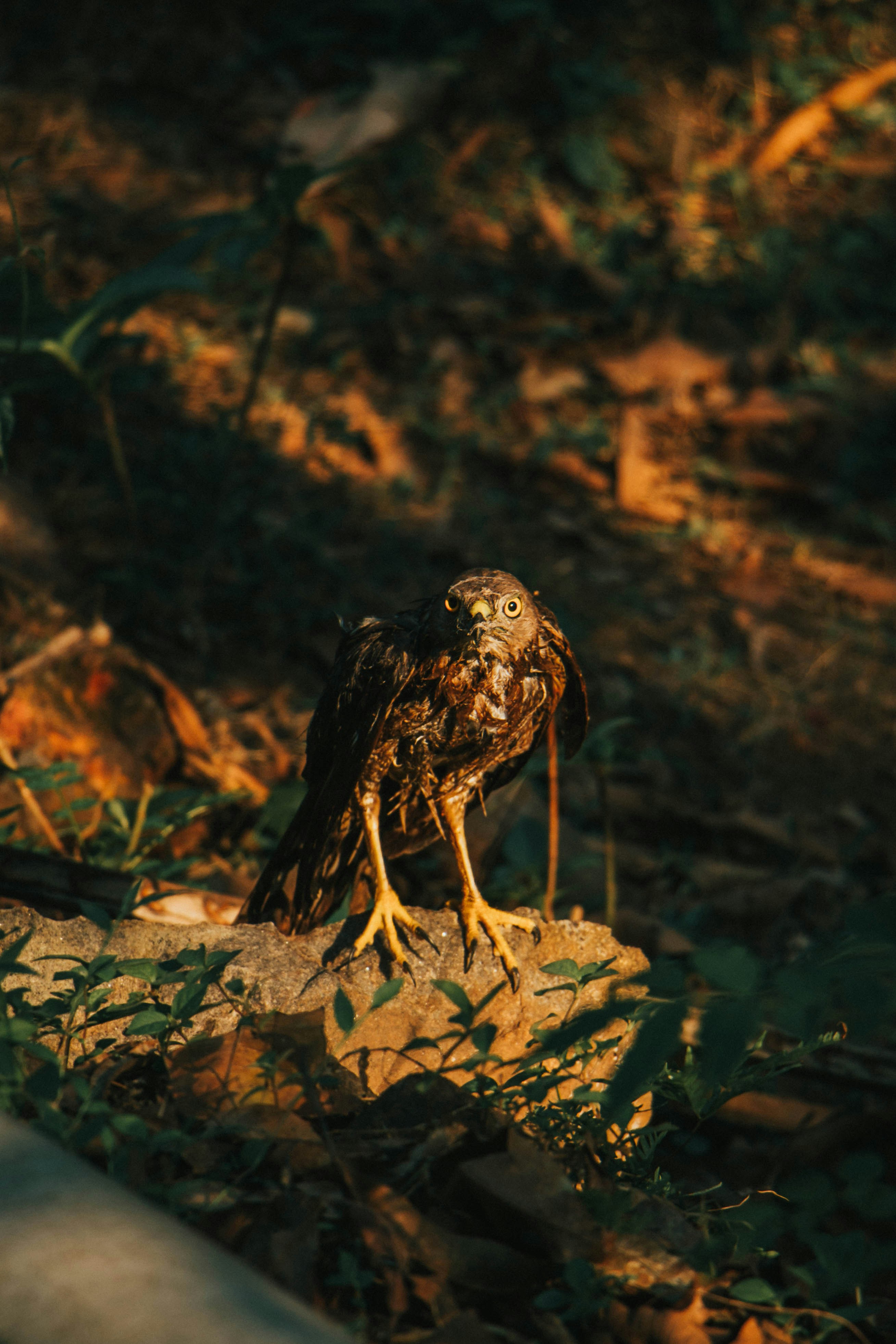 Photo by rishabh_mathew