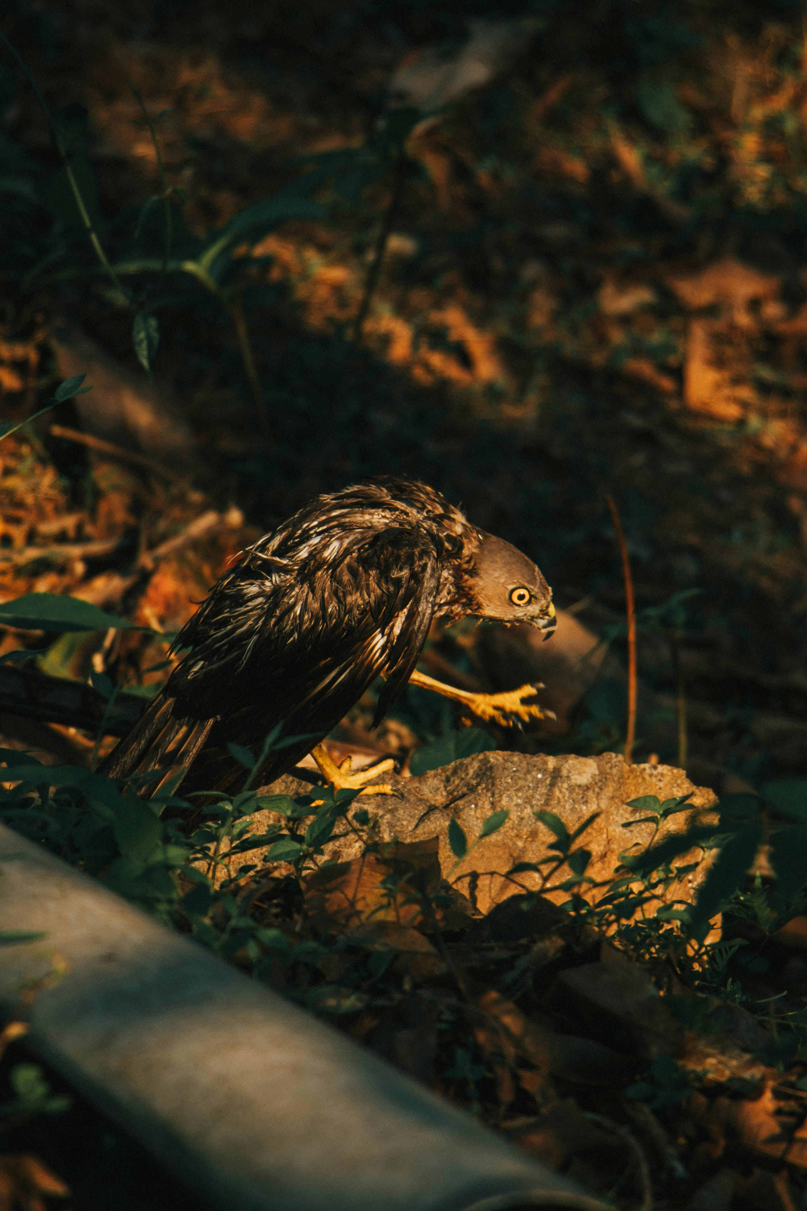 Photo by rishabh_mathew