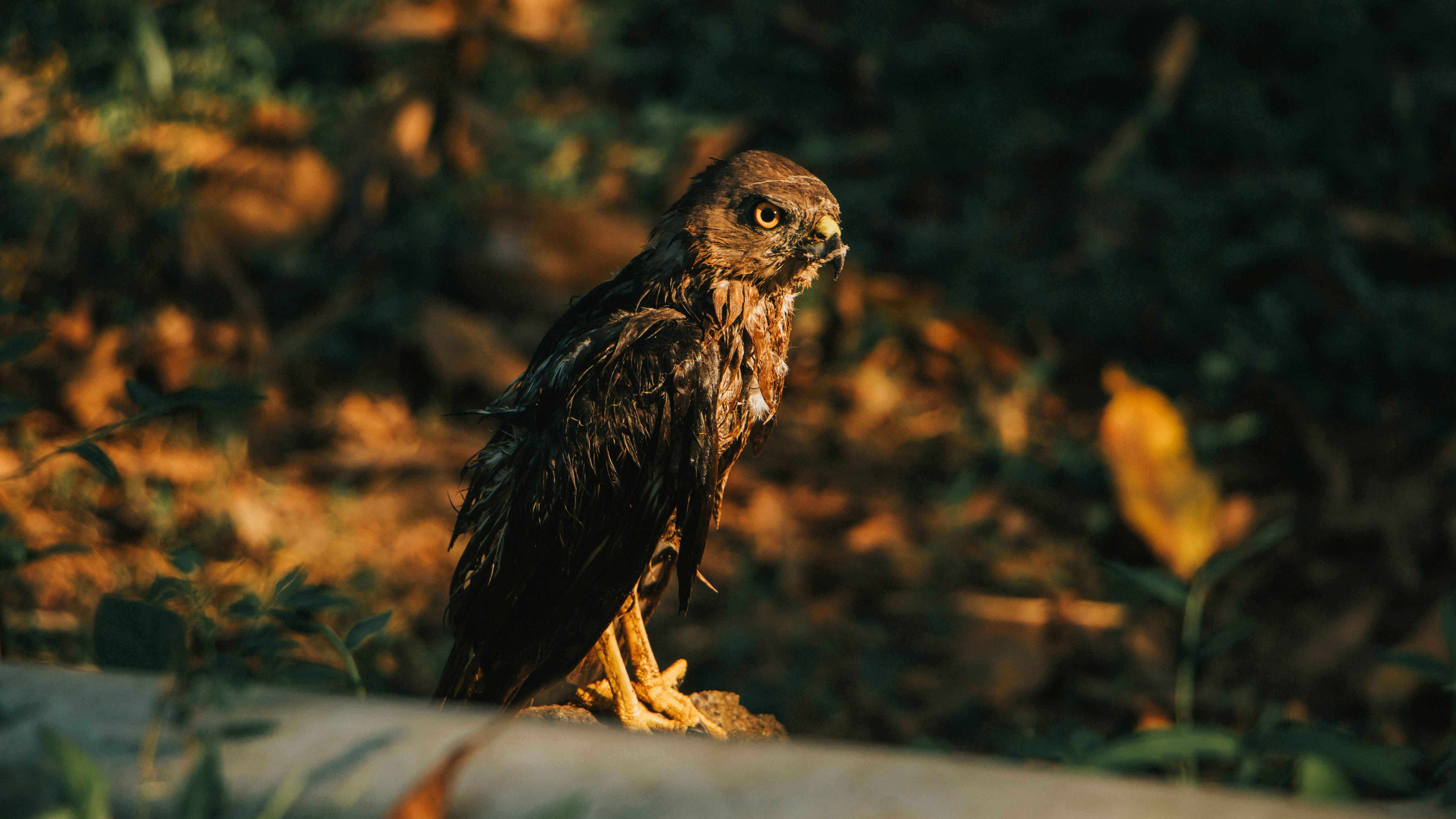 Photo by rishabh_mathew