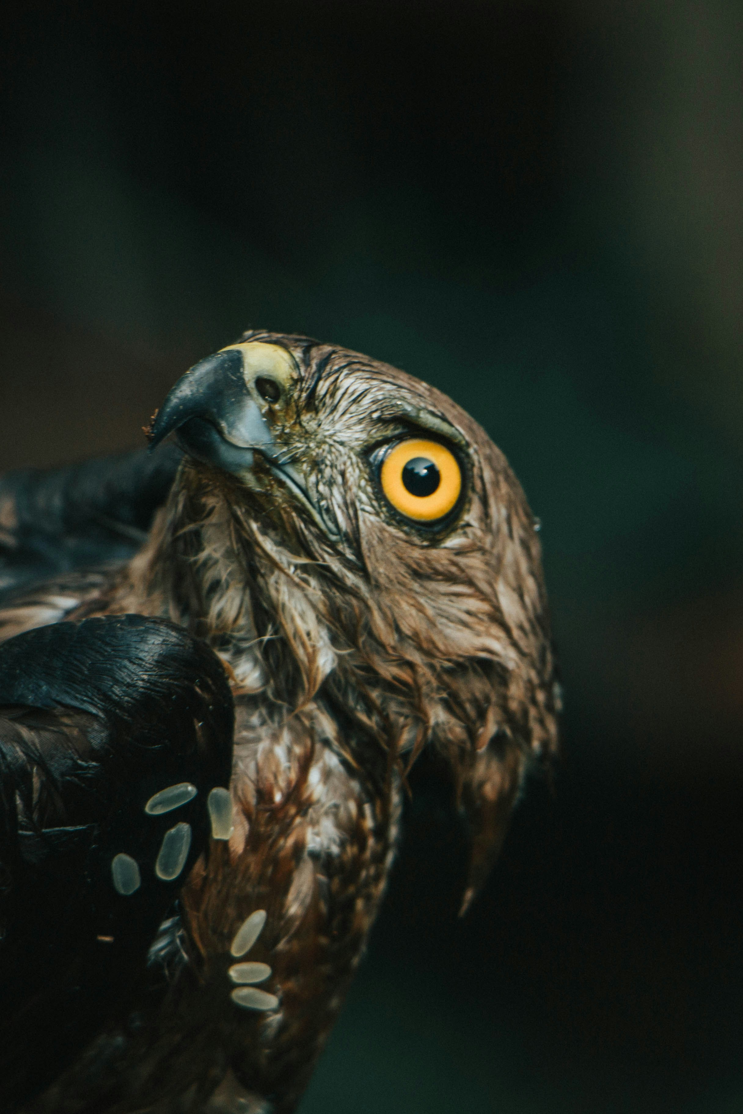 Photo by rishabh_mathew