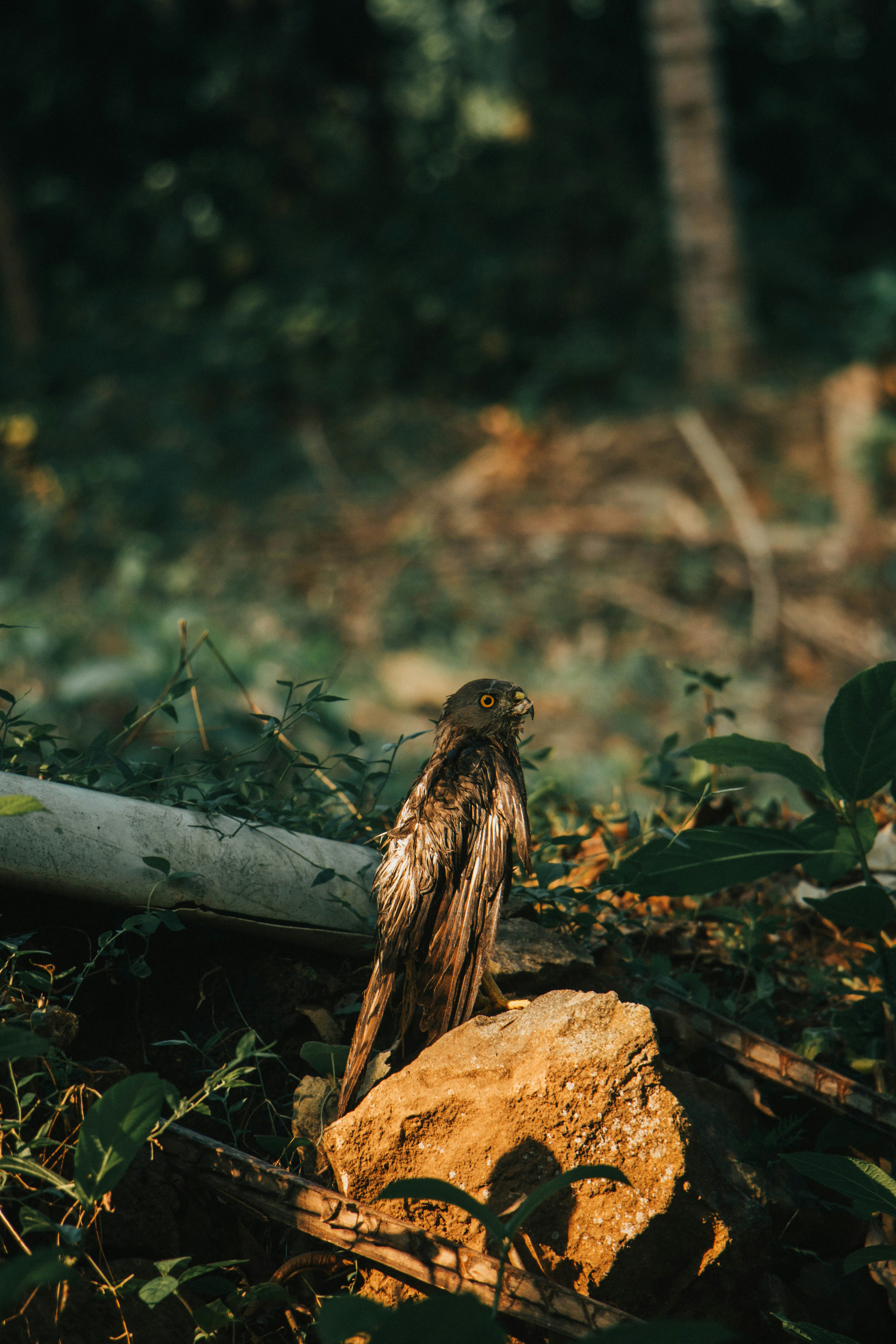 Photo by rishabh_mathew