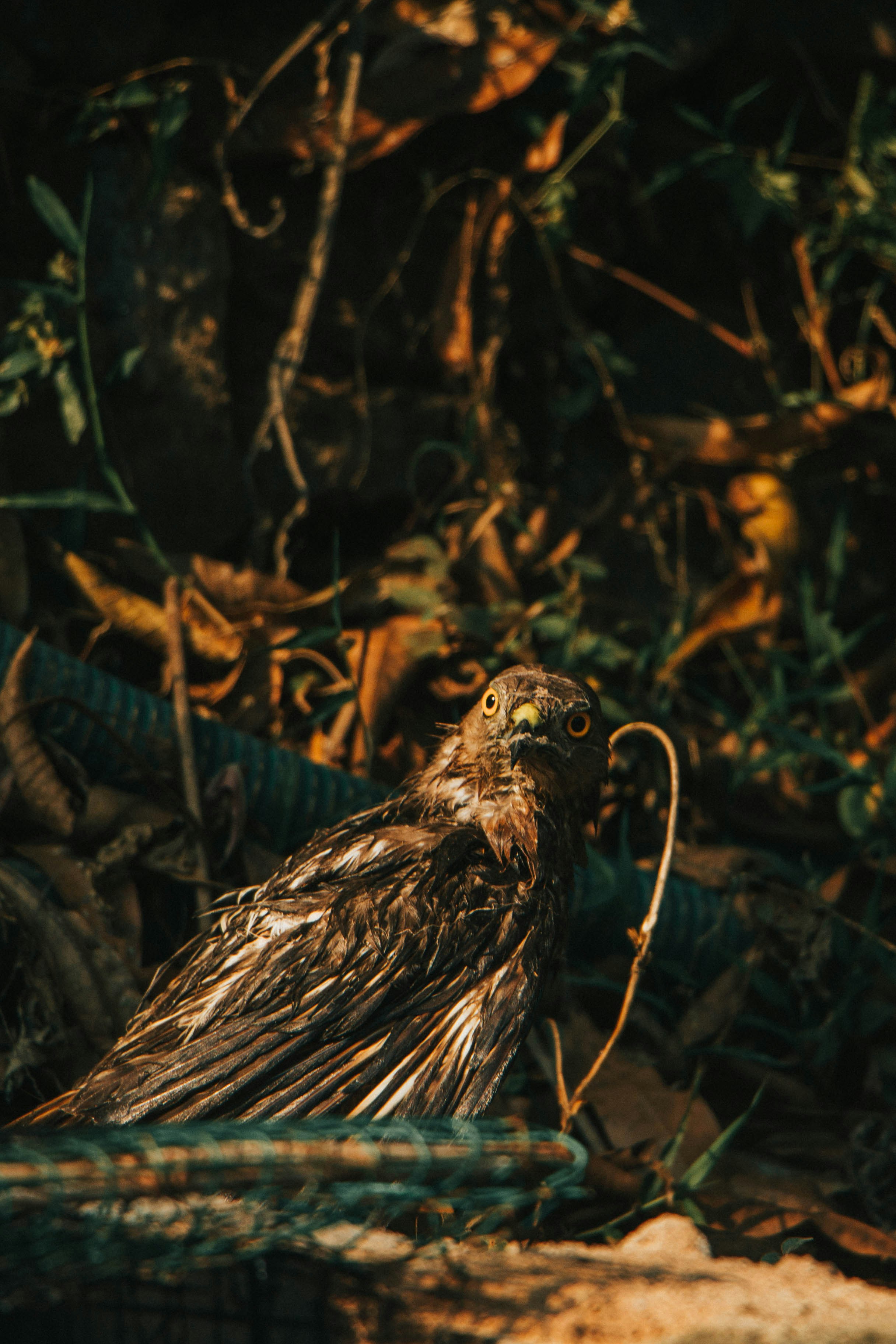 Photo by rishabh_mathew