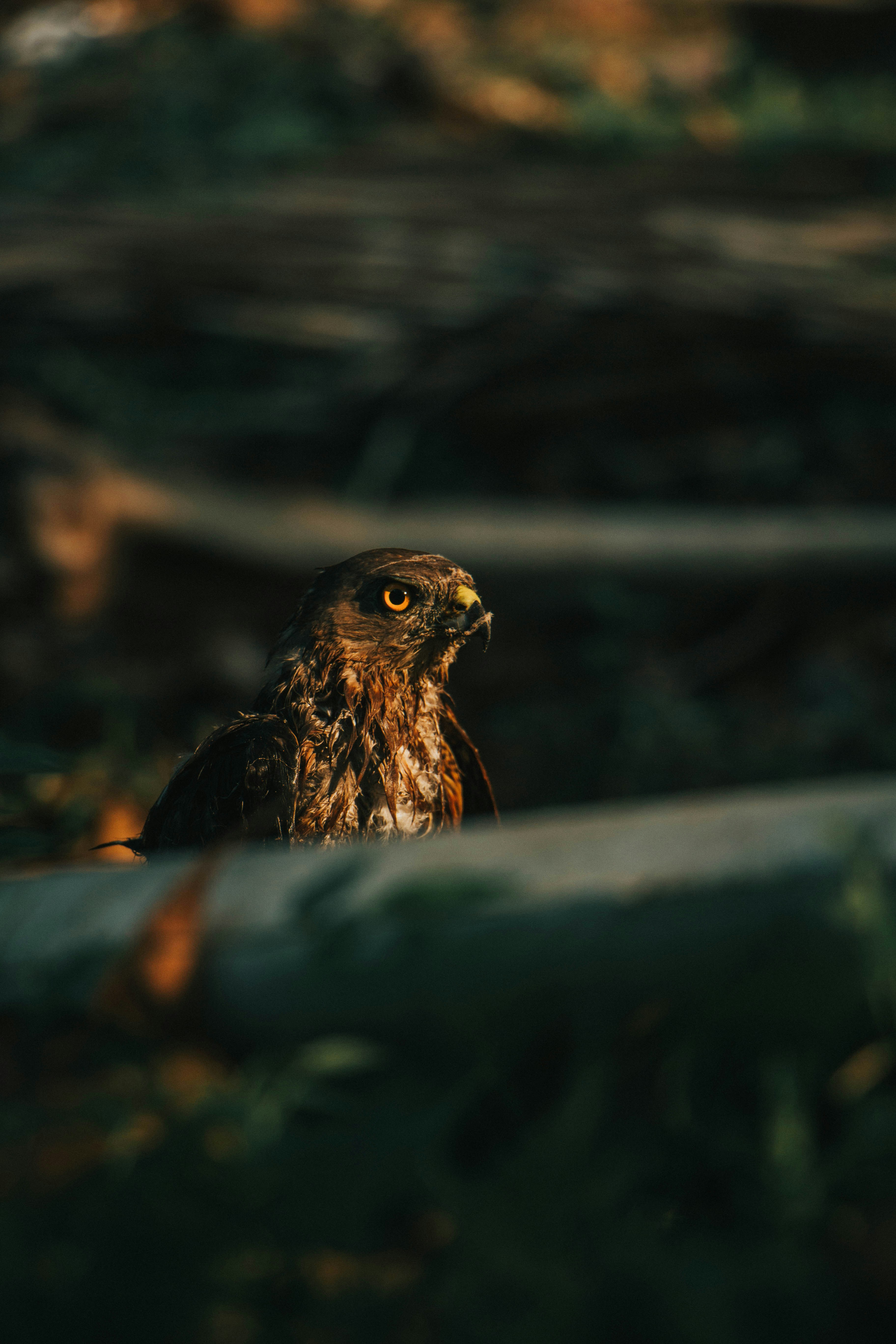 Photo by rishabh_mathew