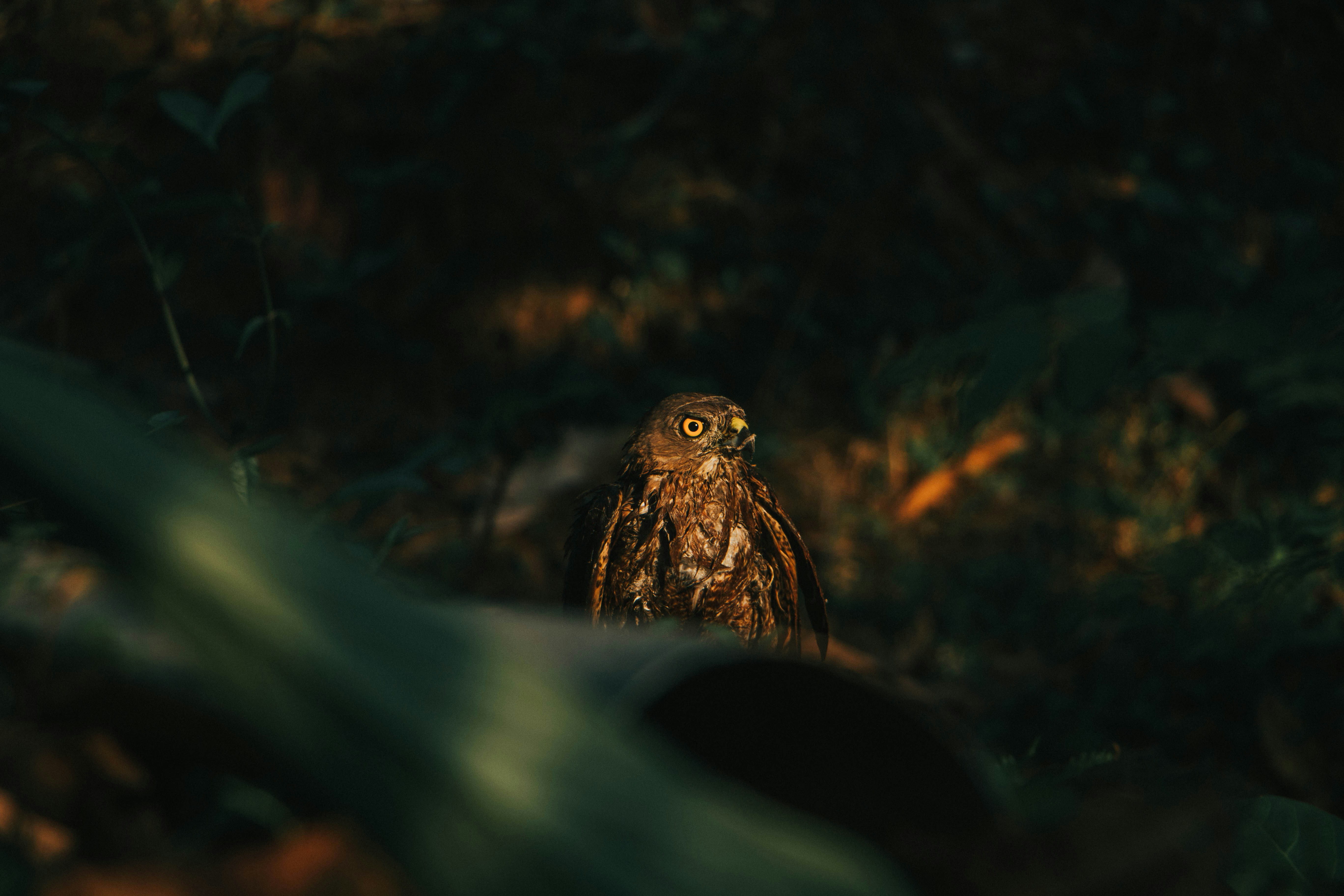 Photo by rishabh_mathew