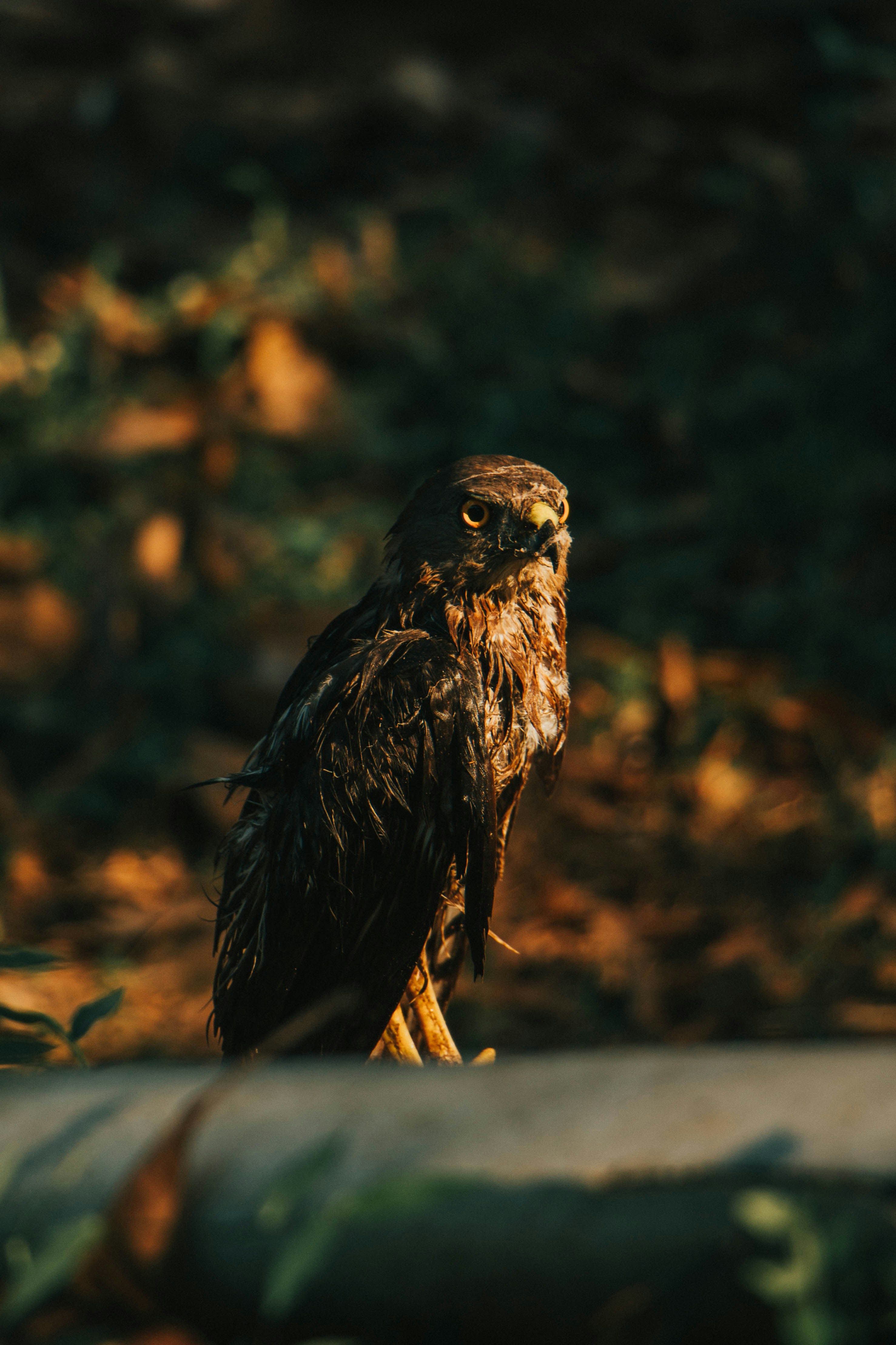 Photo by rishabh_mathew