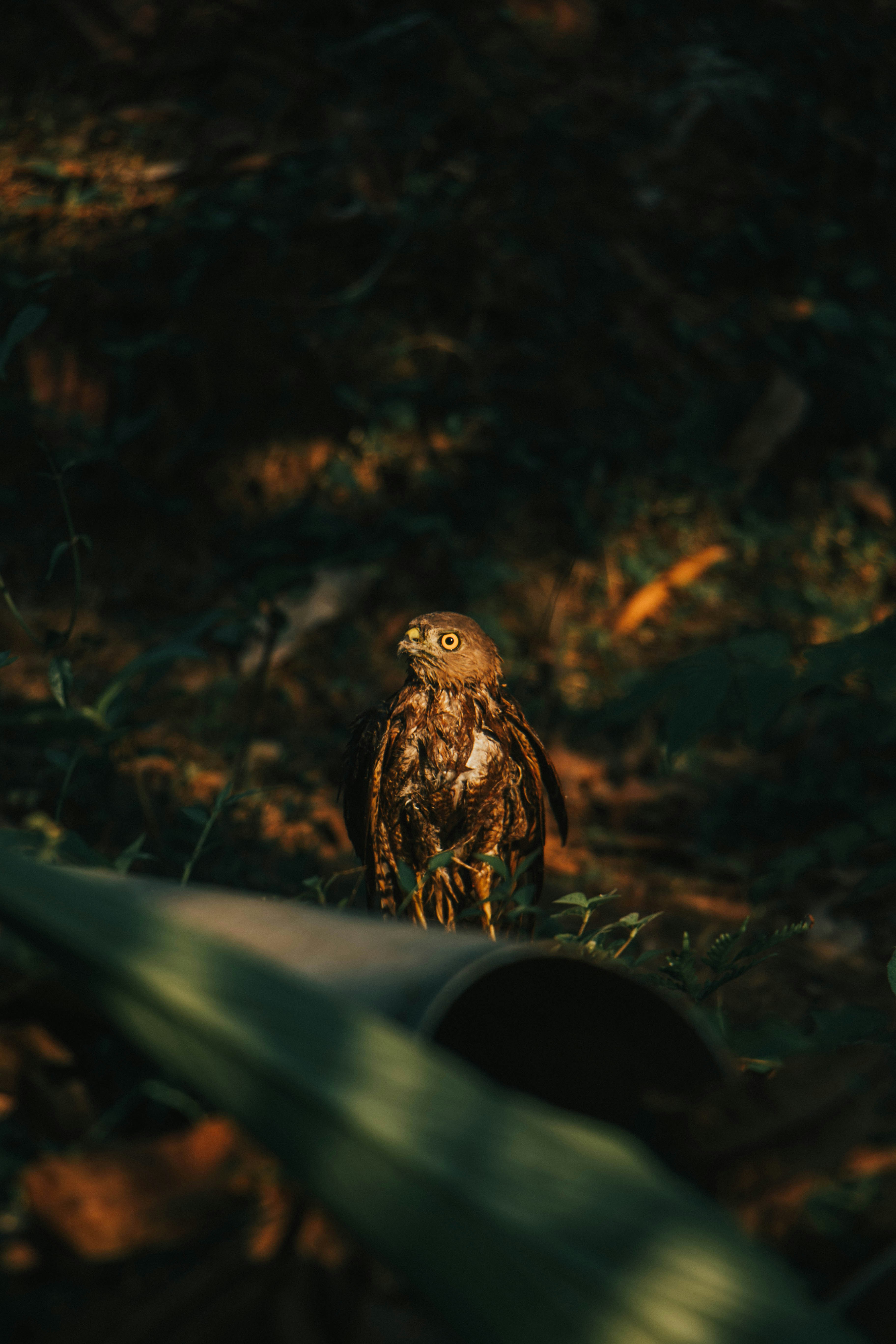 Photo by rishabh_mathew