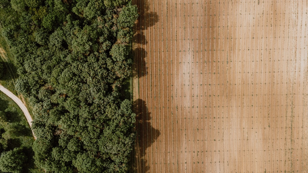 an aerial view of a dirt road and trees