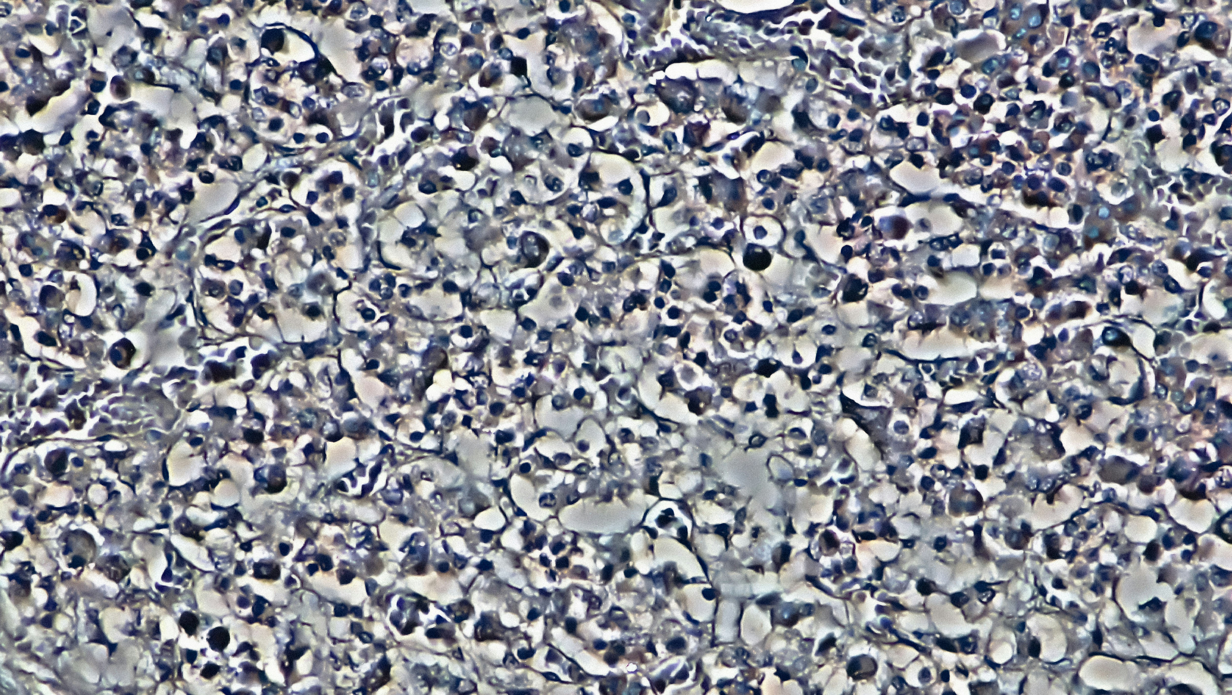 The Universe Might Be Conscious and You're Part of Its Mind