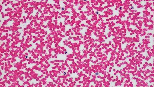red blood cell formation,