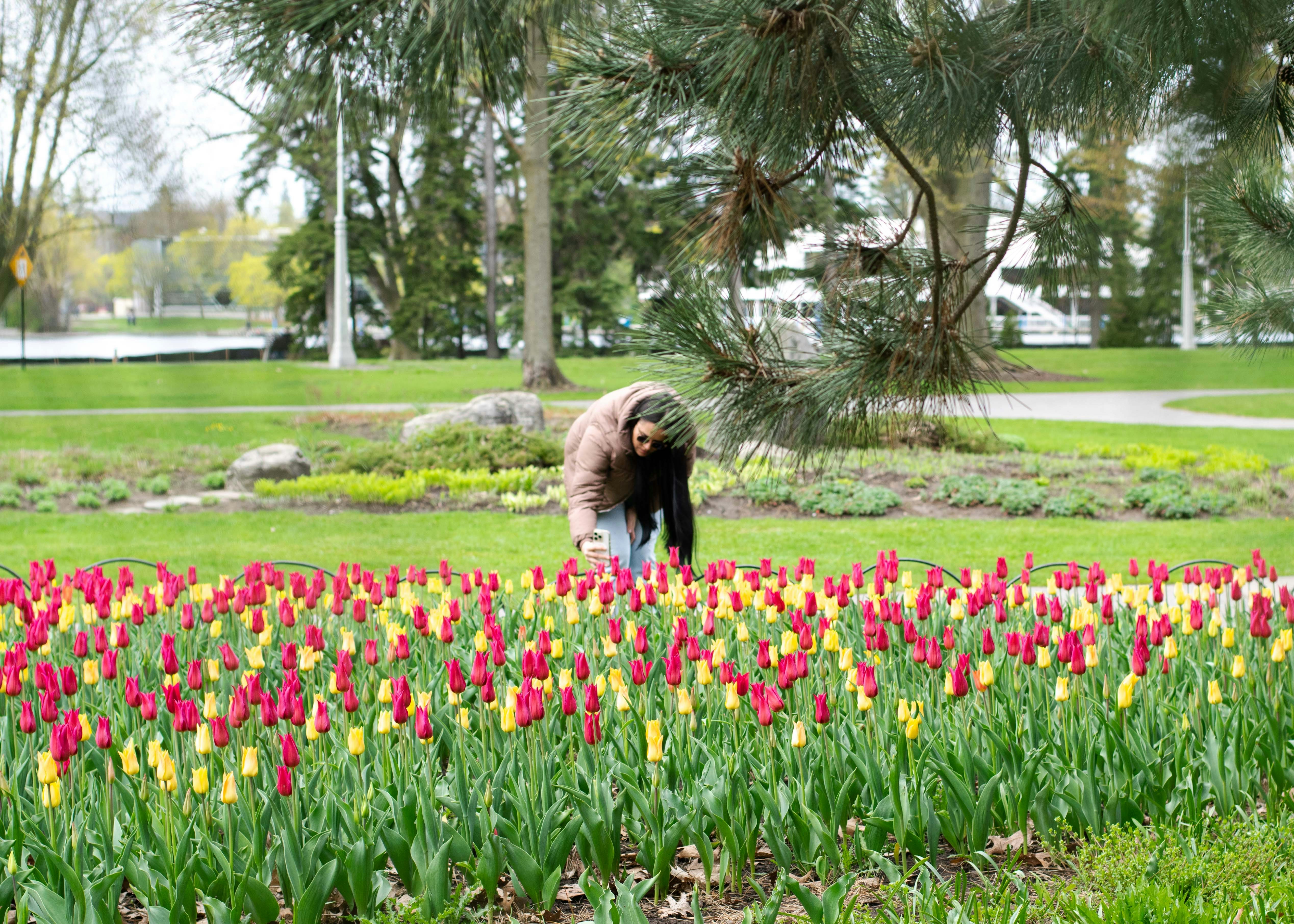 a woman kneeling down in a field of flowers