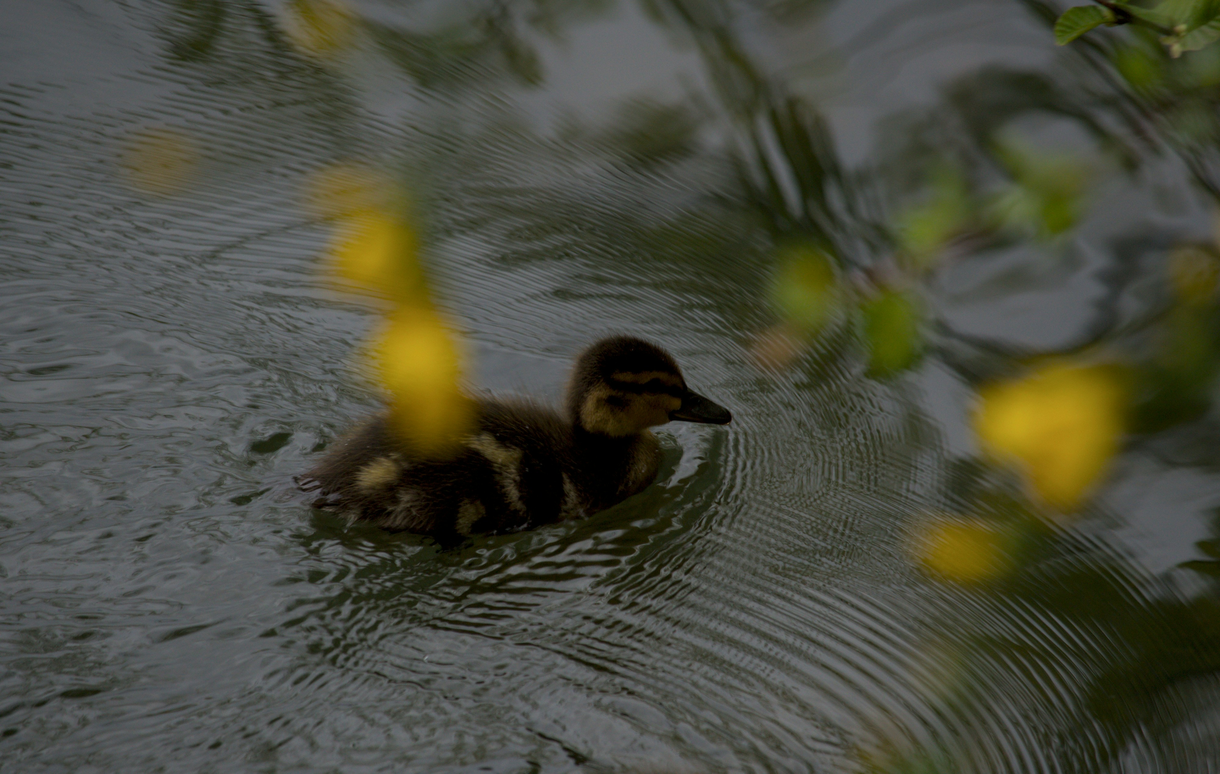 Photo by validgizmo