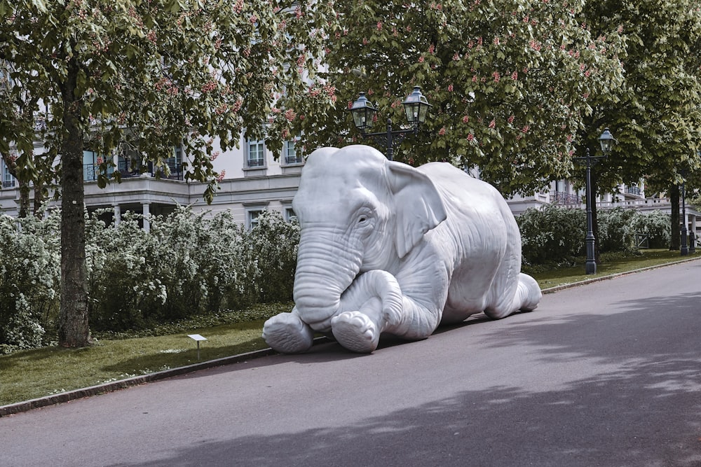 a large white elephant laying on the side of a road