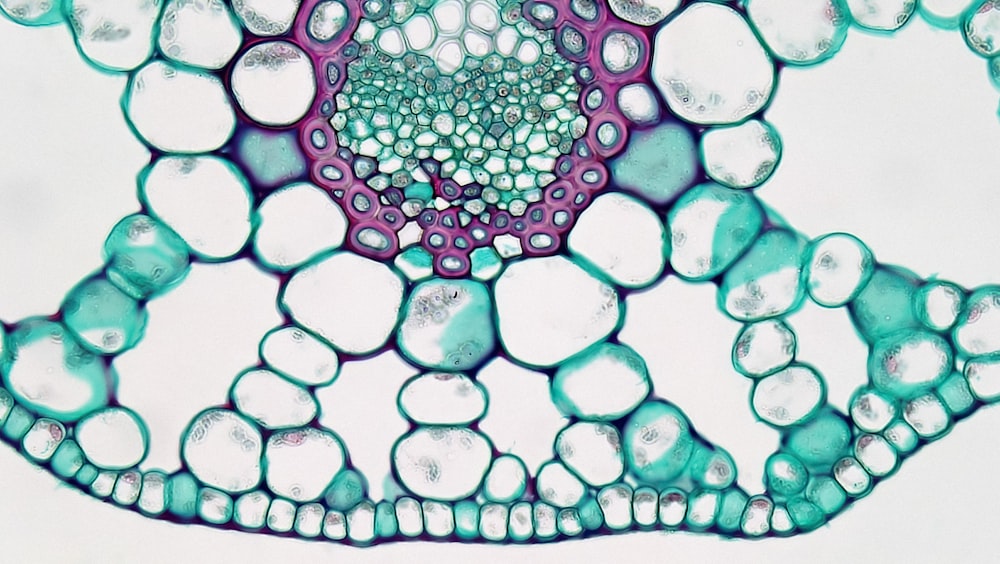 a close up of a cell phone with bubbles