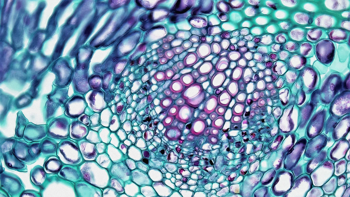 Cell: The Unit of Life – microscopic view of plant tissue showing rounded cells with distinct walls