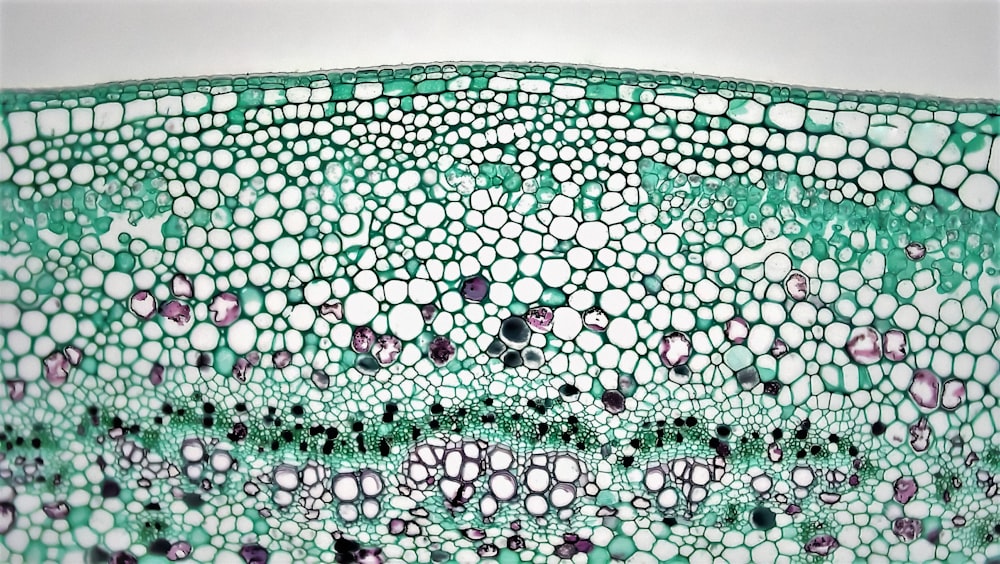 a close up view of a green vase