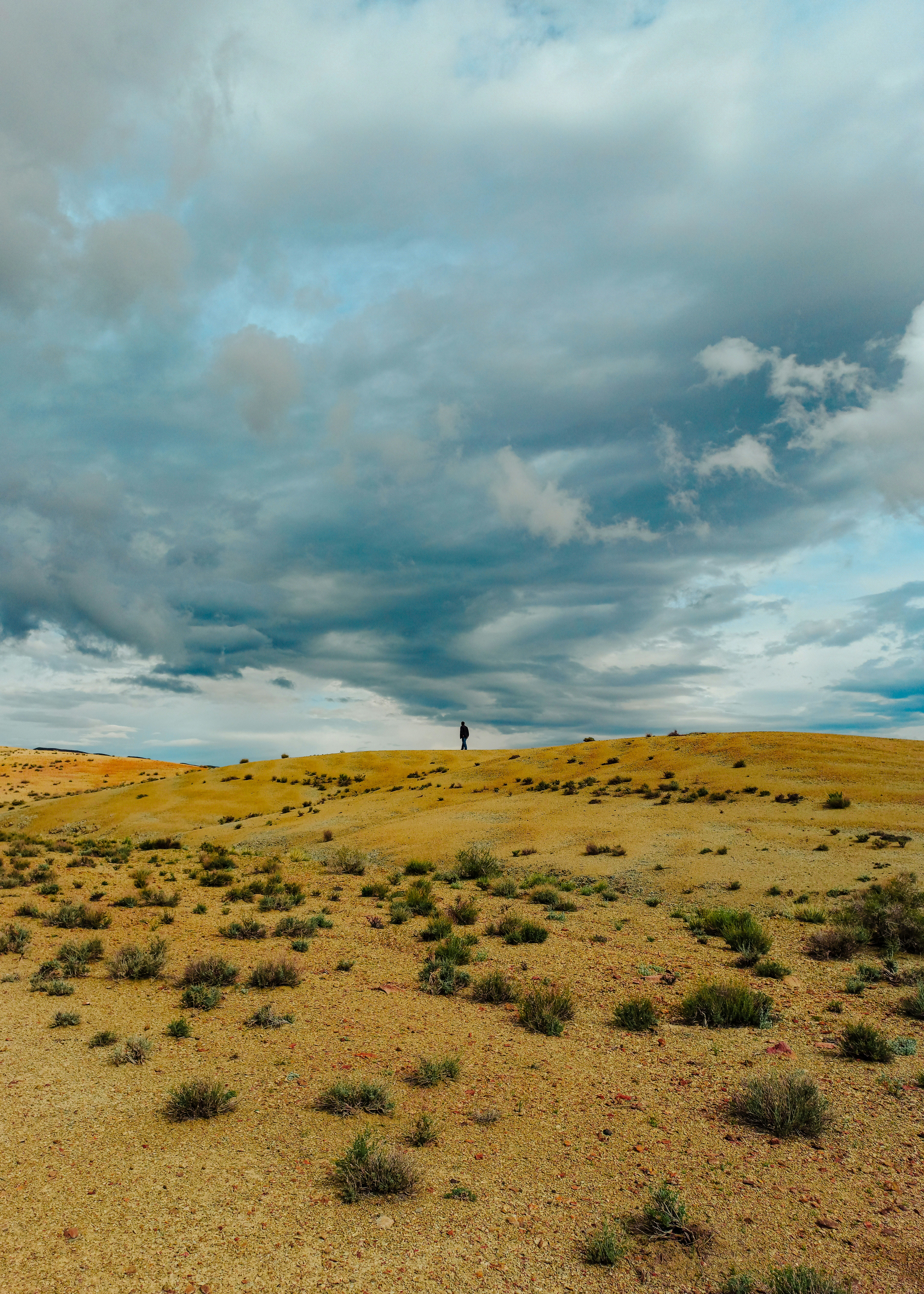 a lone person standing in the middle of a desert