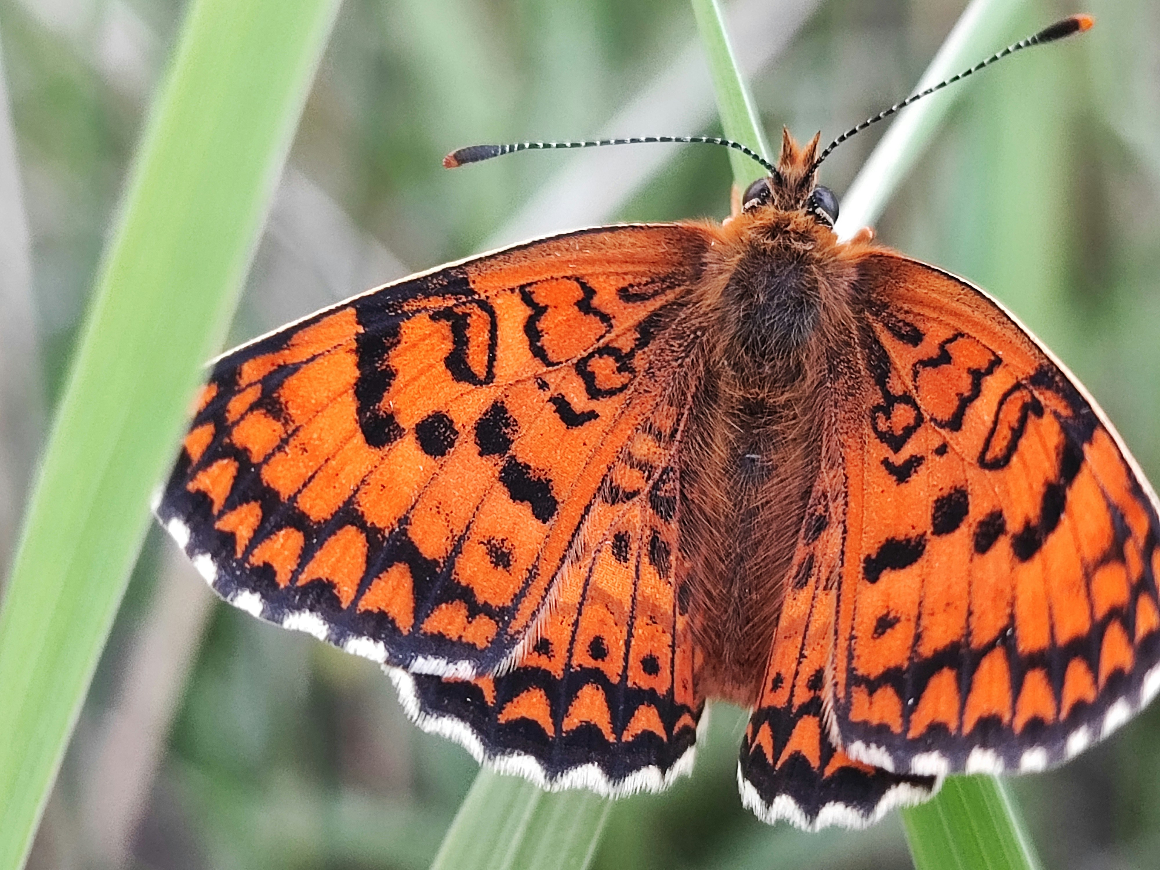 Photo by fereshte_dashtaki