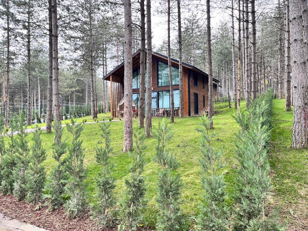 a cabin in the woods surrounded by trees