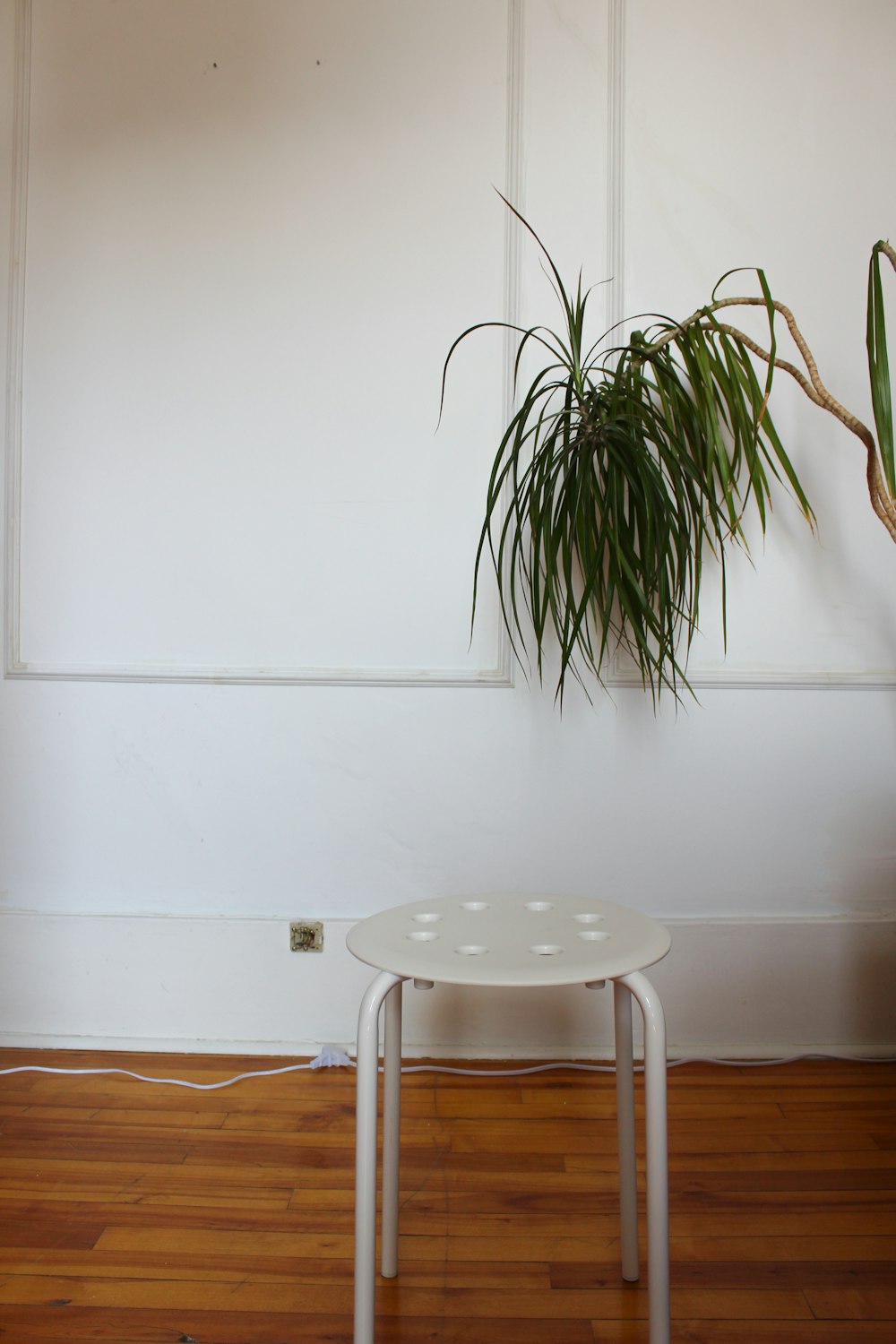 a white table with a potted plant on top of it