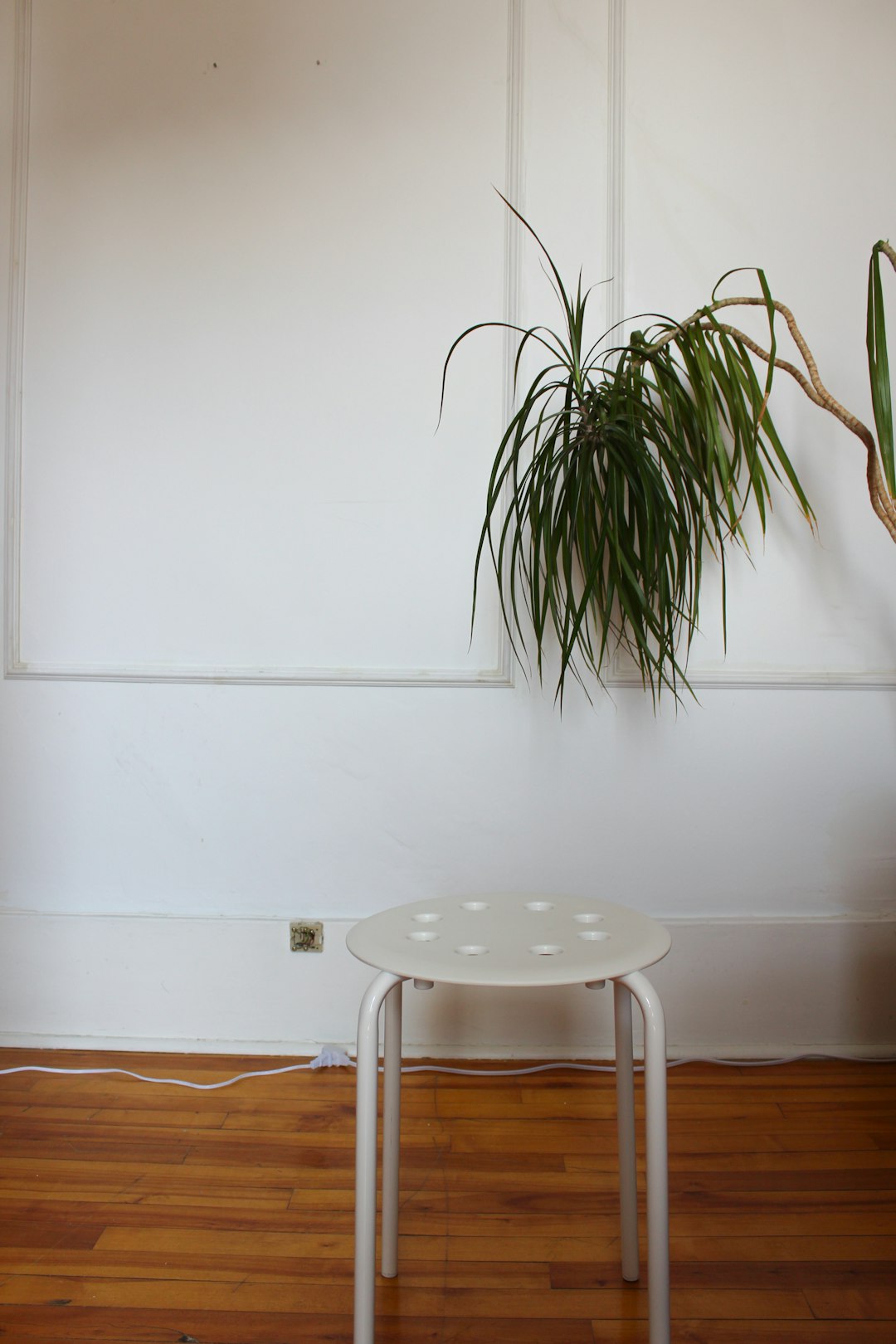 House plant against a wall with a stool and mirror