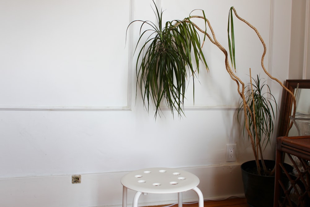 a white stool sitting next to a potted plant