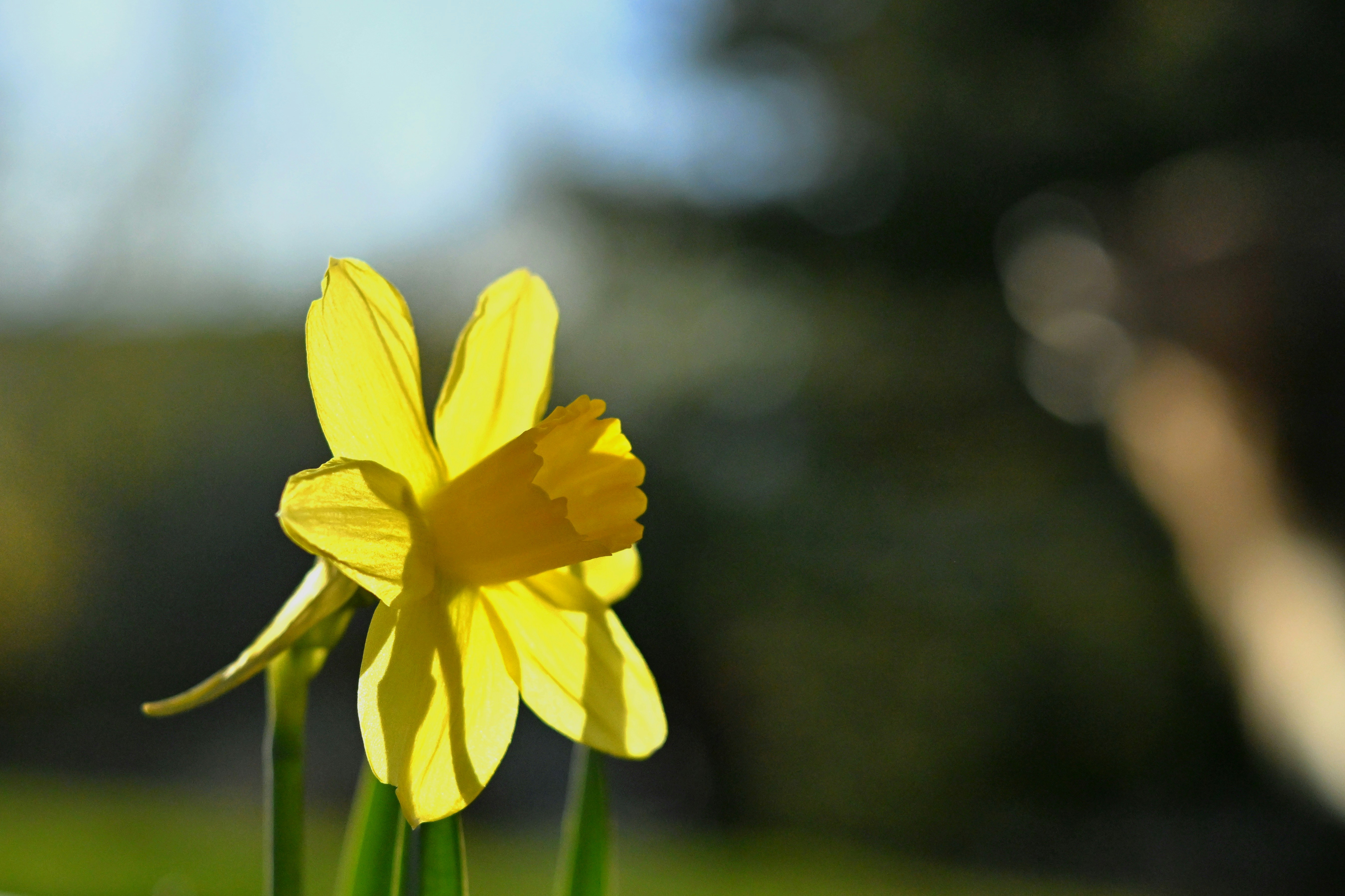 Photo by rich_gonzales17