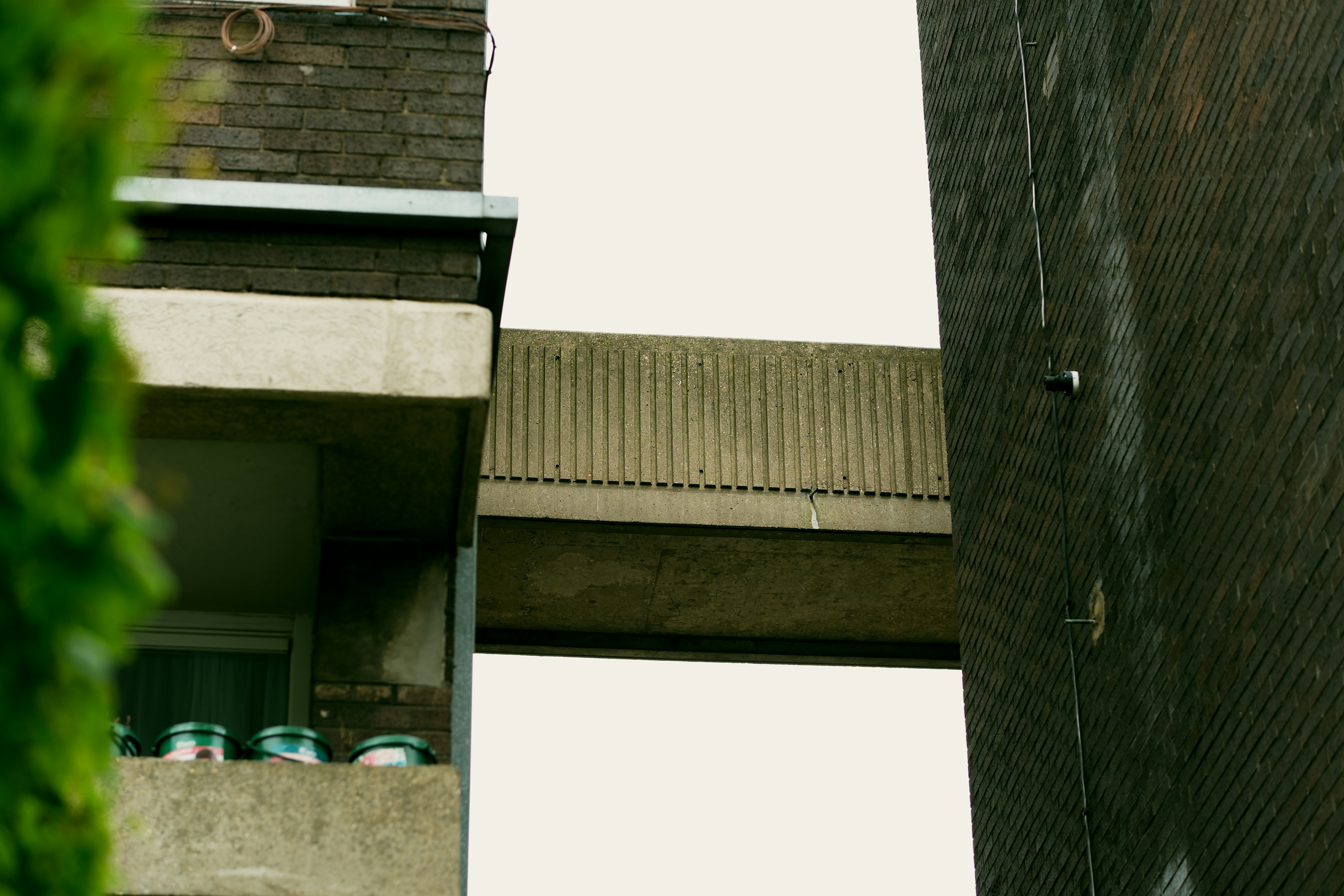 Photo by romanakash27