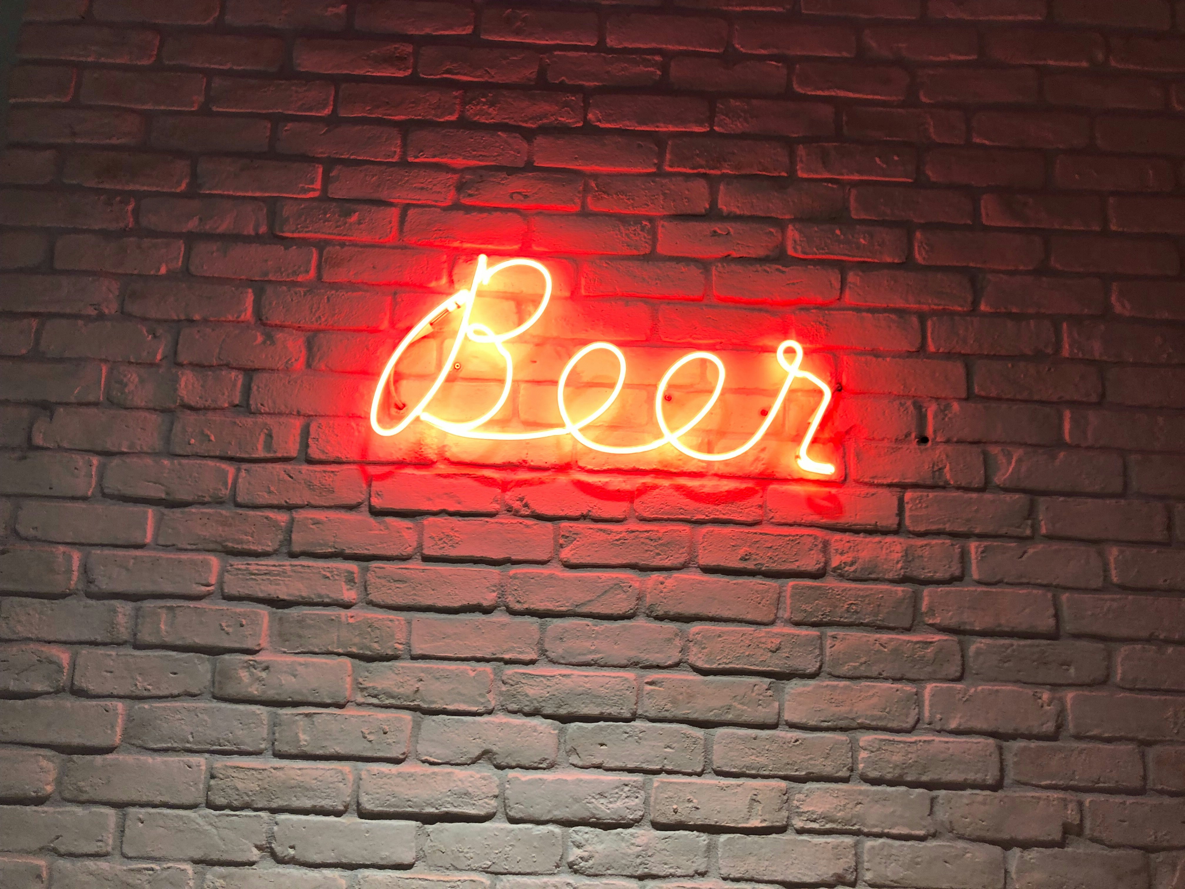 Pertandingan Pencak Silat, Sambo, Kempo, dan Tarung Derajat