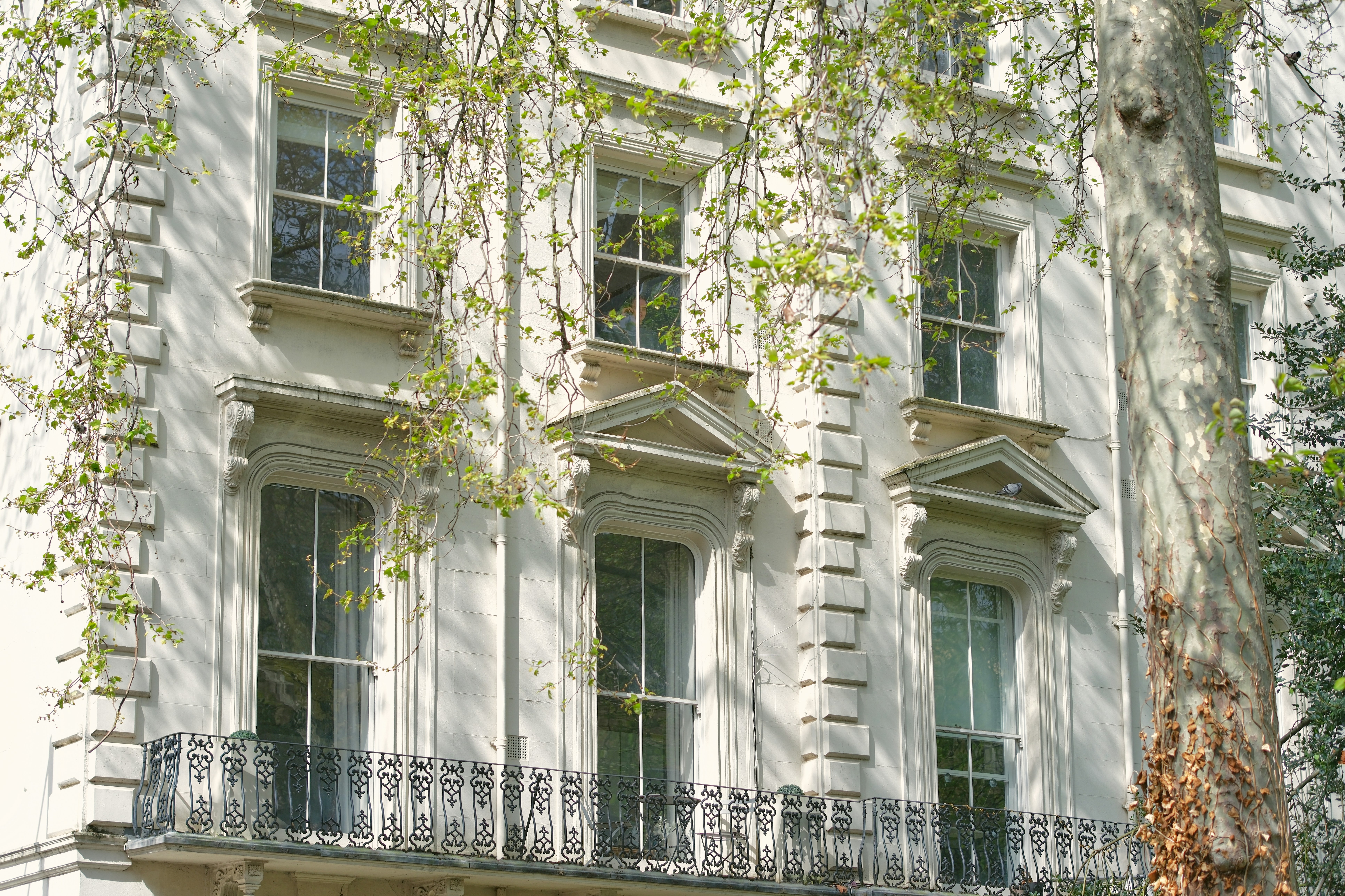 Photo by romanakash27