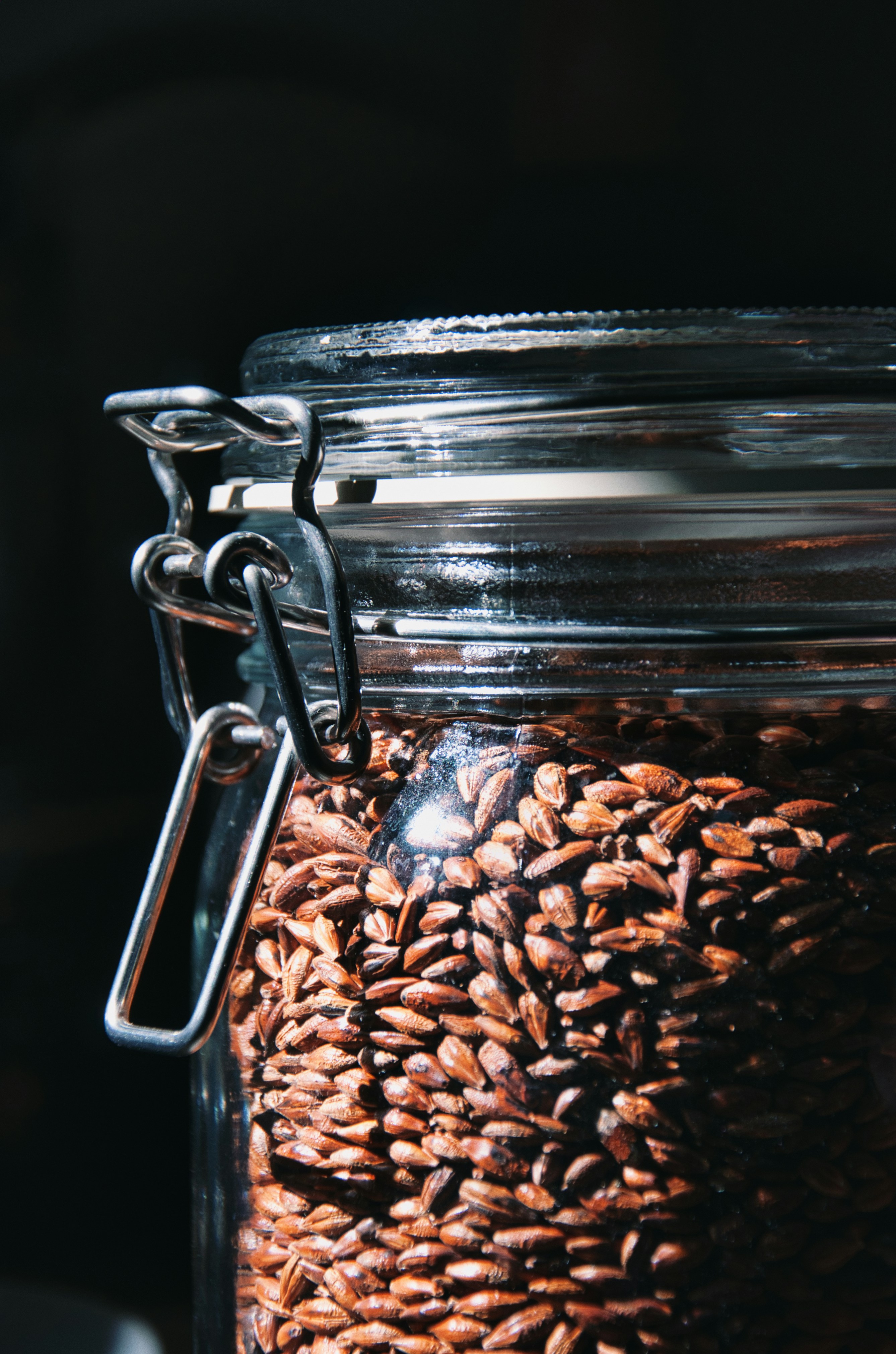 Sterilized Rye Grain Jar