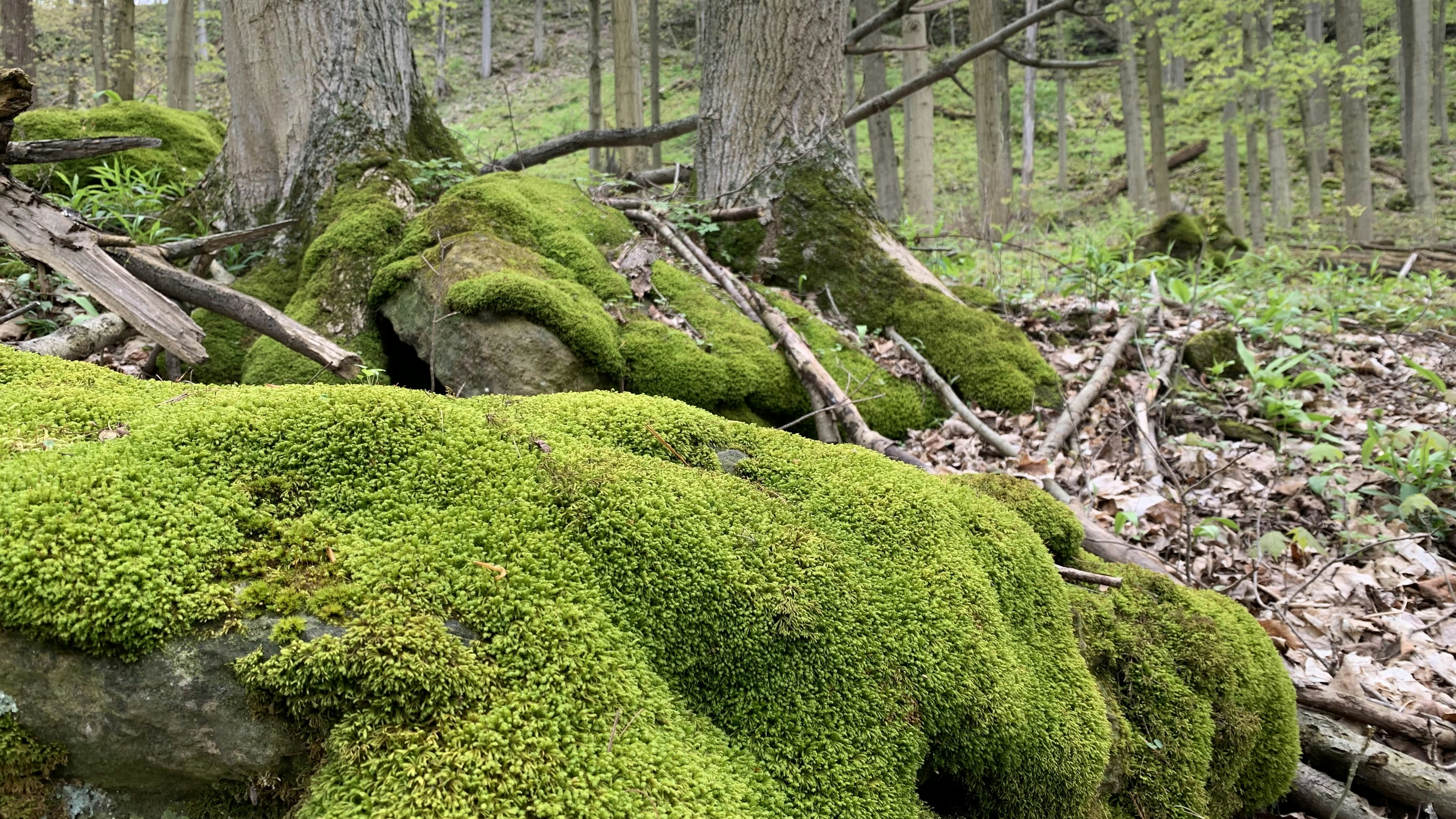 Photo by madmenmediagroup