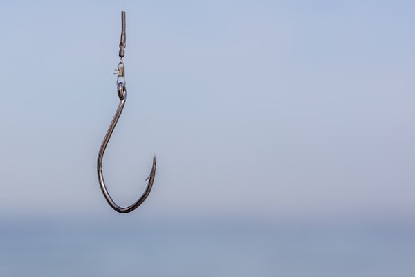 Saltwater fishing hooks