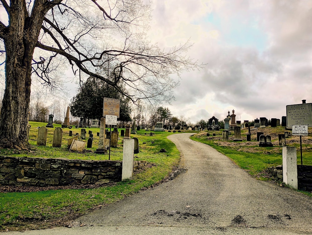 a cemetery with tombstones and trees on a cloudy day